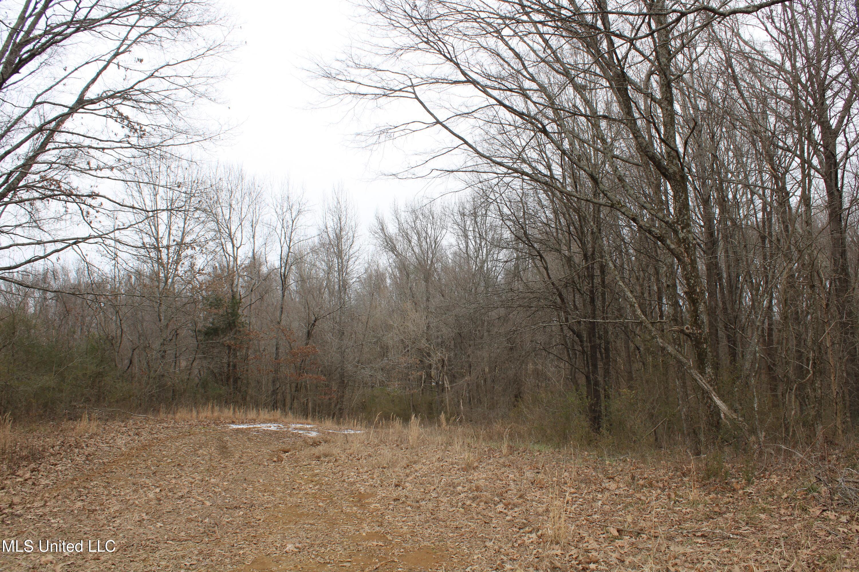 3800 Highway 301 Road Property Photo 46