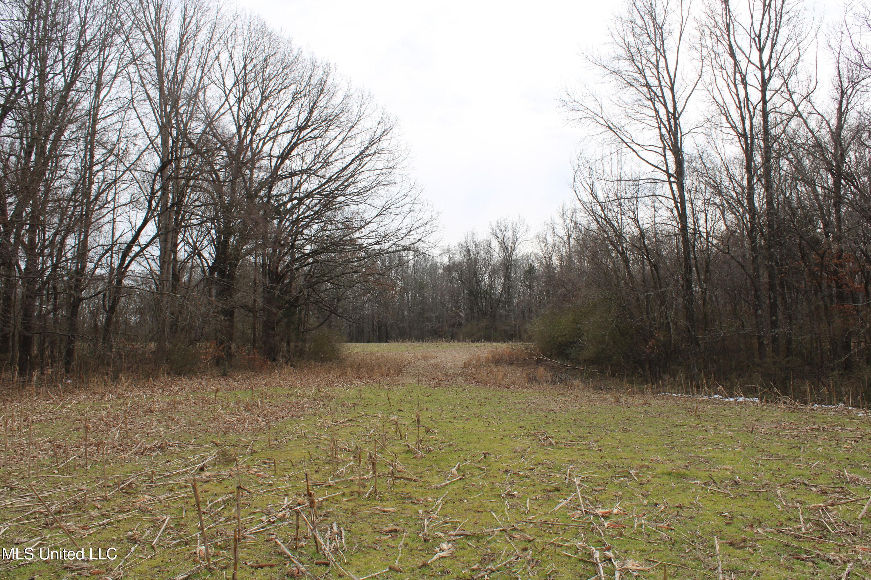 3800 Highway 301 Road Property Photo 47