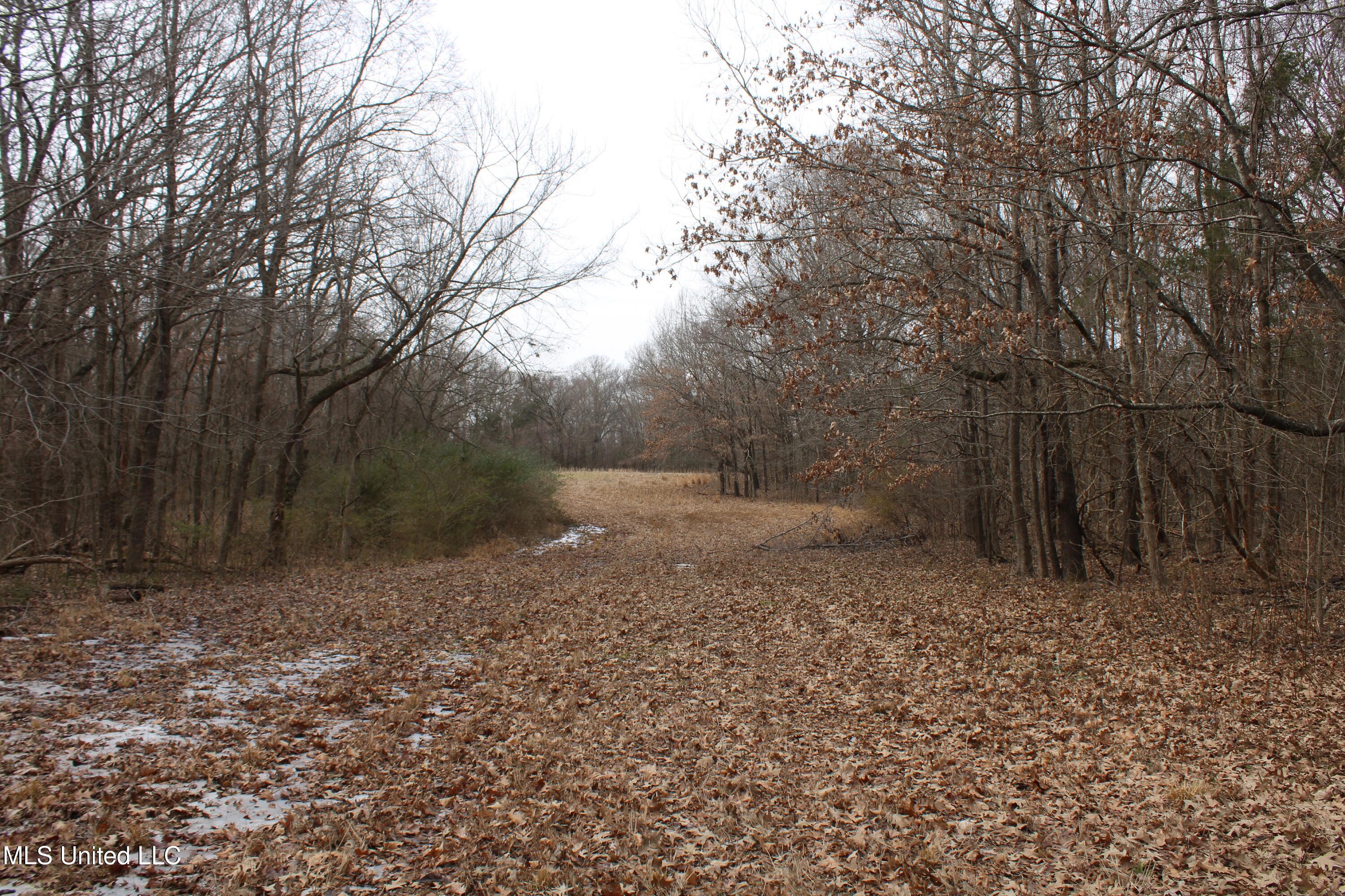 3800 Highway 301 Road Property Photo 48