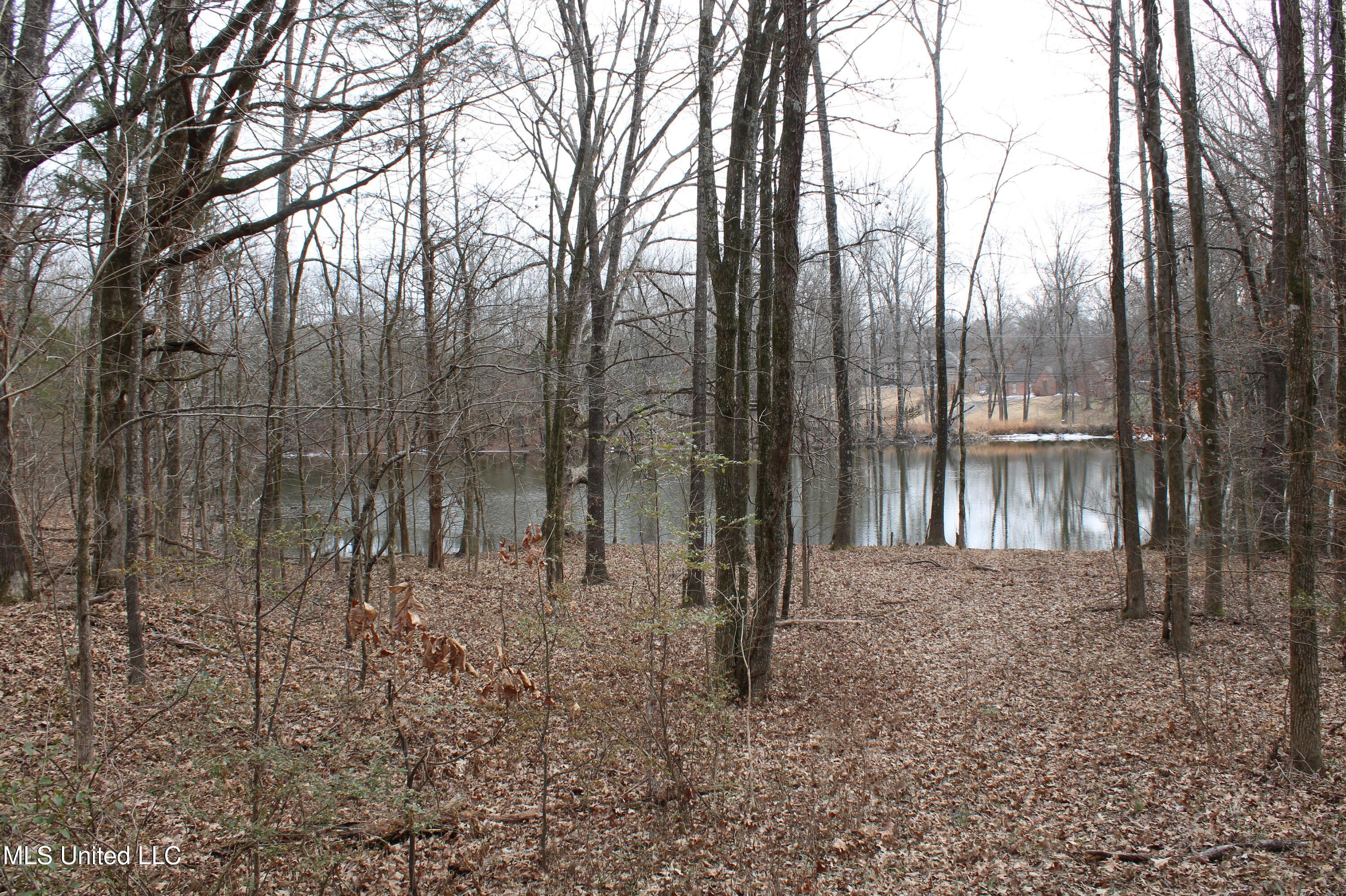 3800 Highway 301 Road Property Photo 49