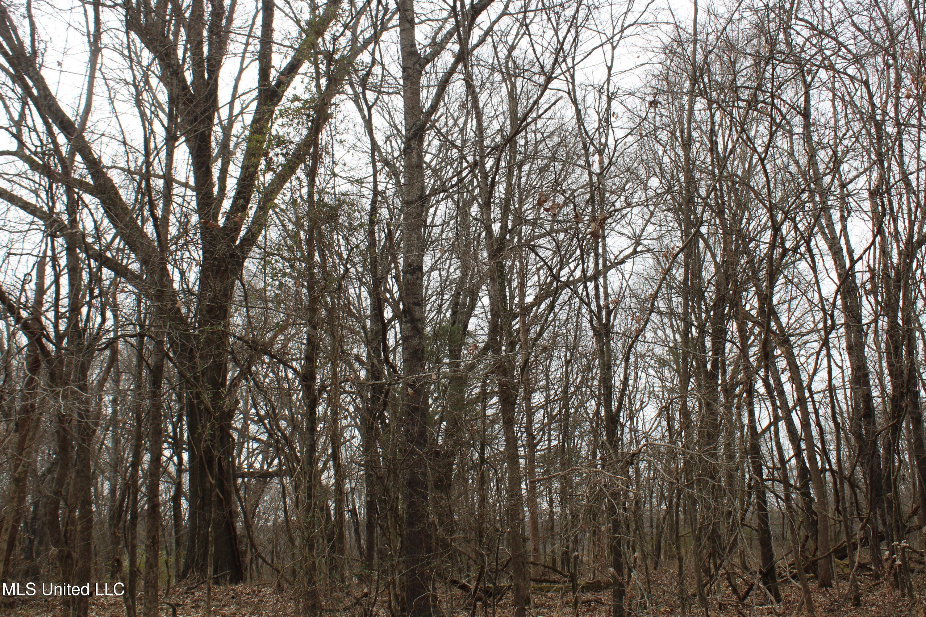 3800 Highway 301 Road Property Photo 50