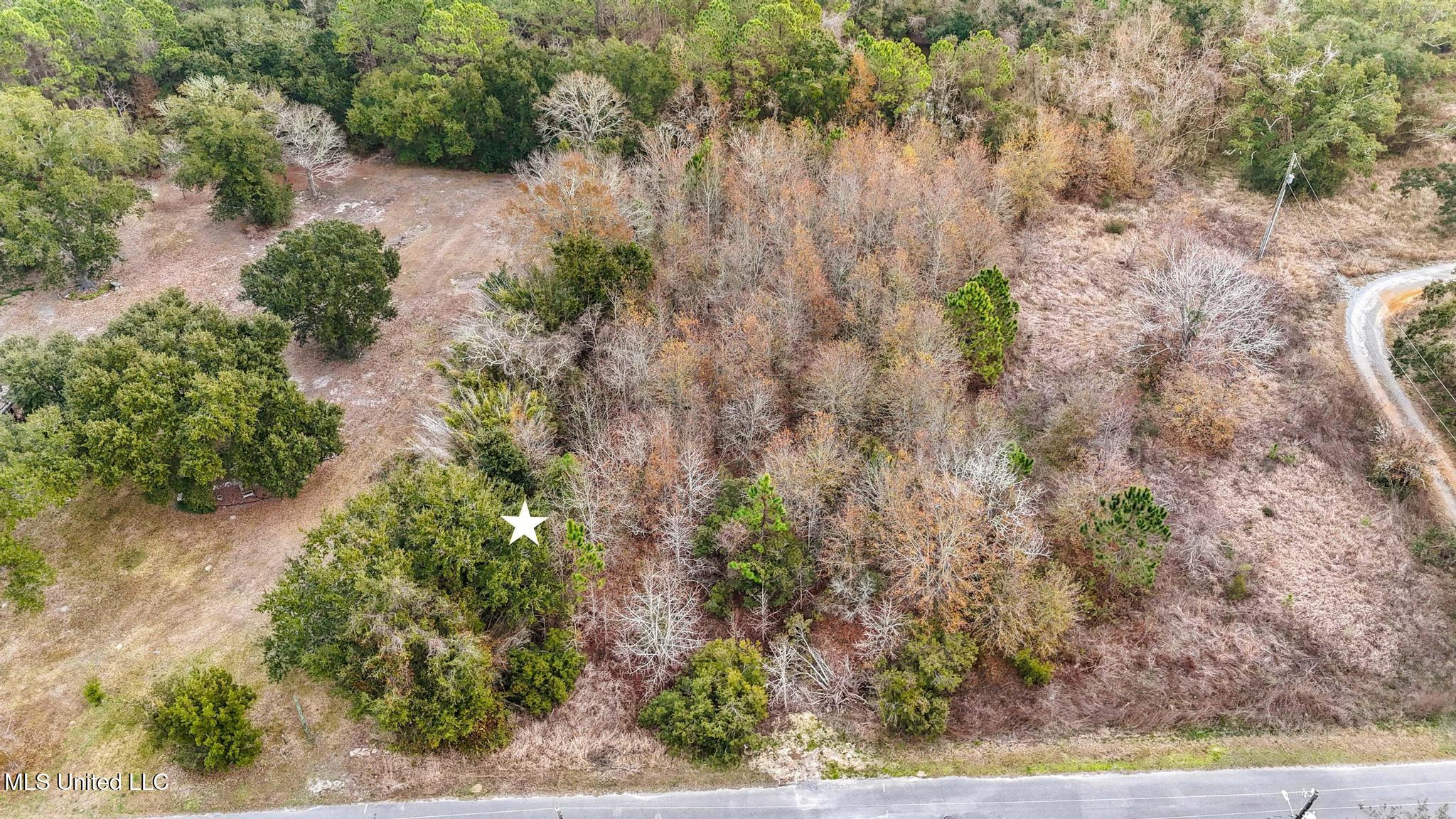 Boisdore Avenue Property Photo 5
