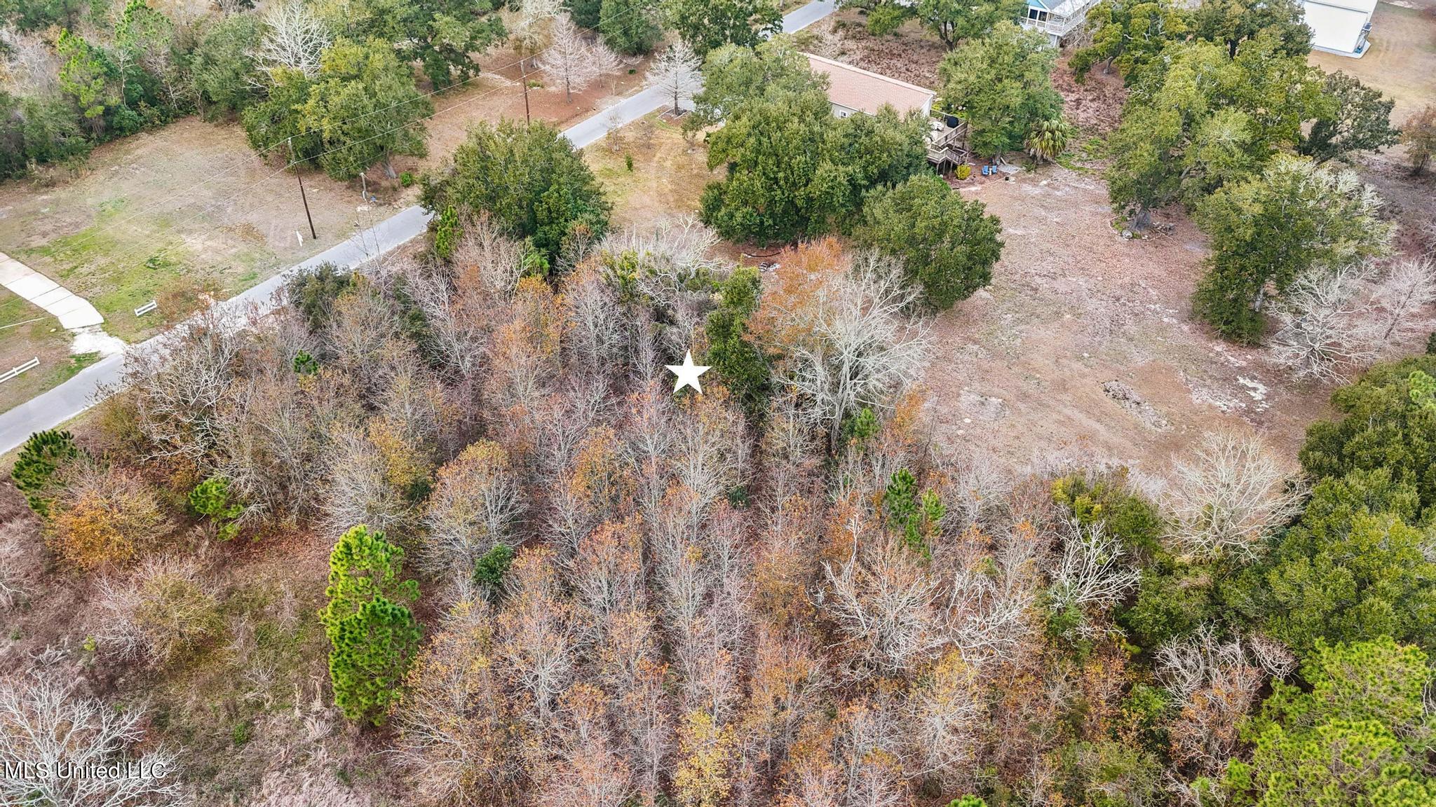 Boisdore Avenue Property Photo 6