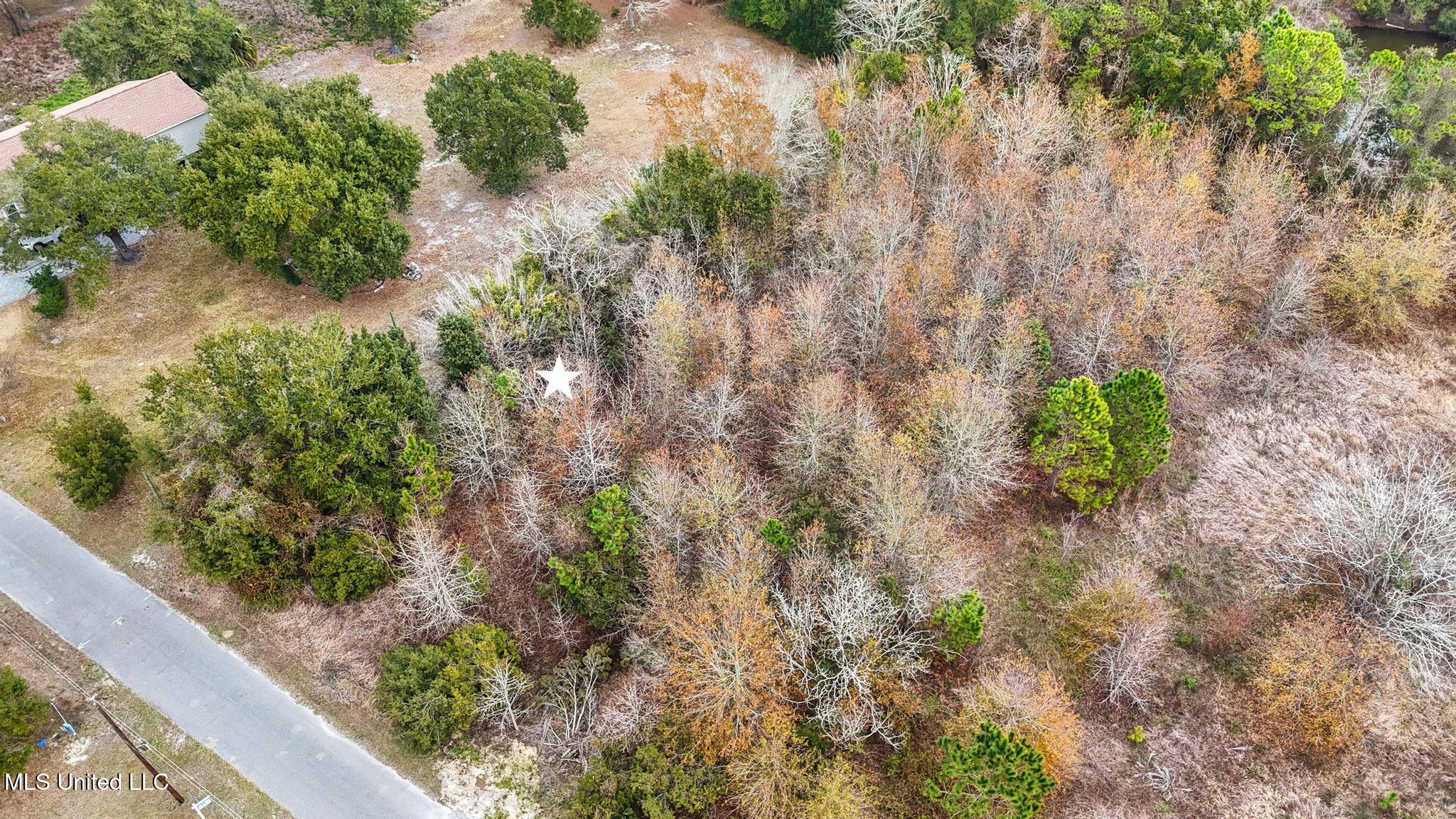 Boisdore Avenue Property Photo 8