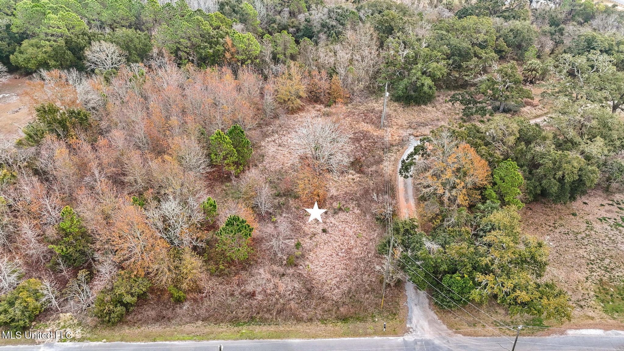 Boisdore Avenue Property Photo 5