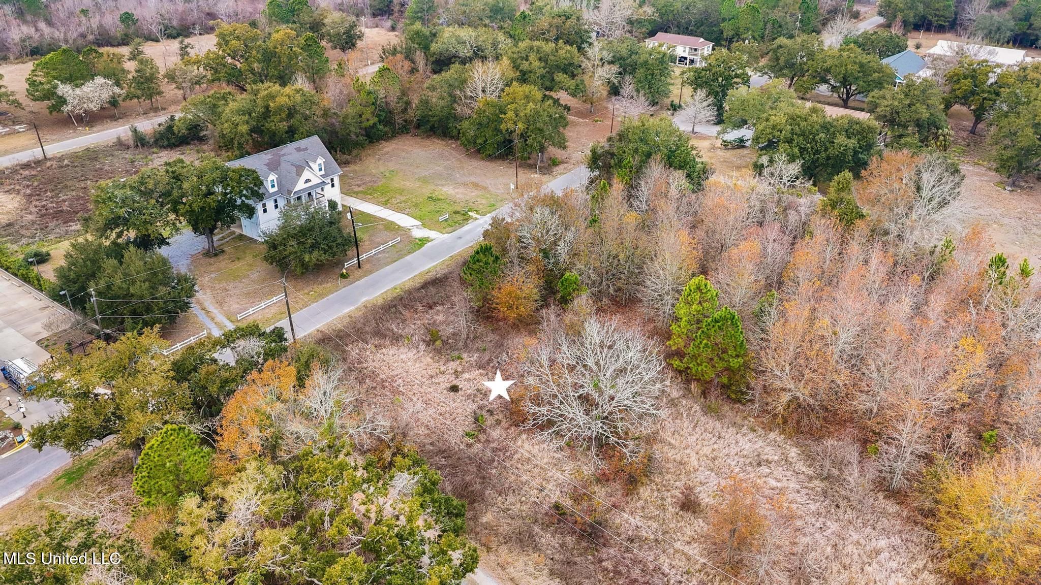 Boisdore Avenue Property Photo 6