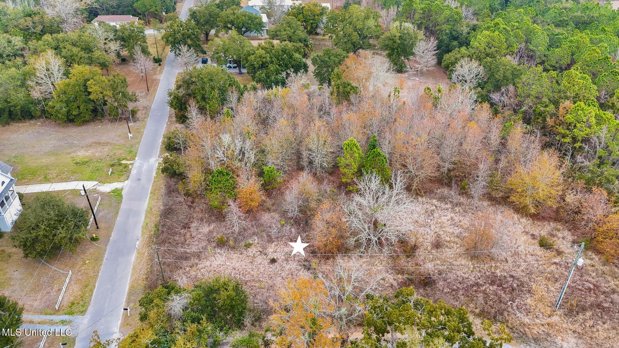 Boisdore Avenue Property Photo 7