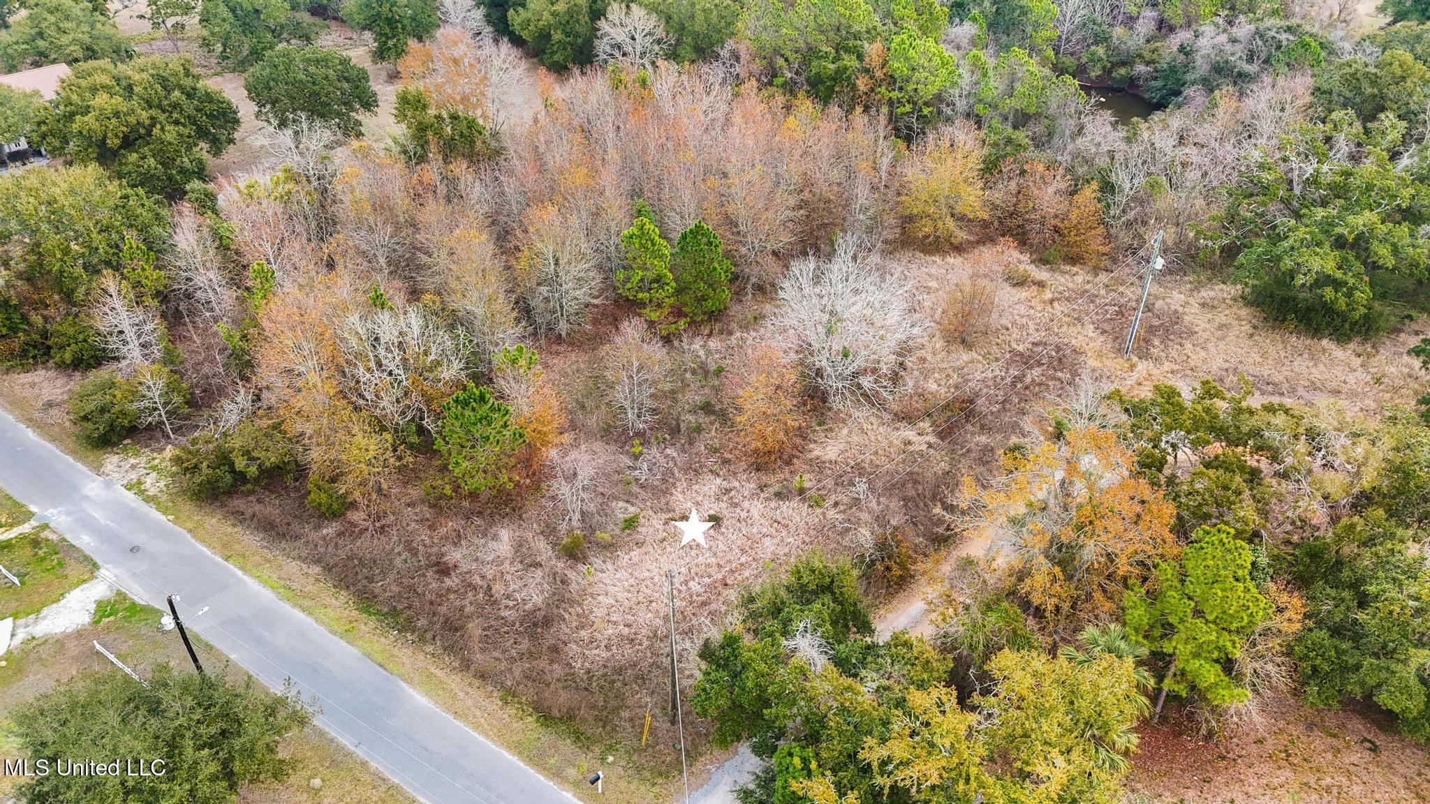 Boisdore Avenue Property Photo 8