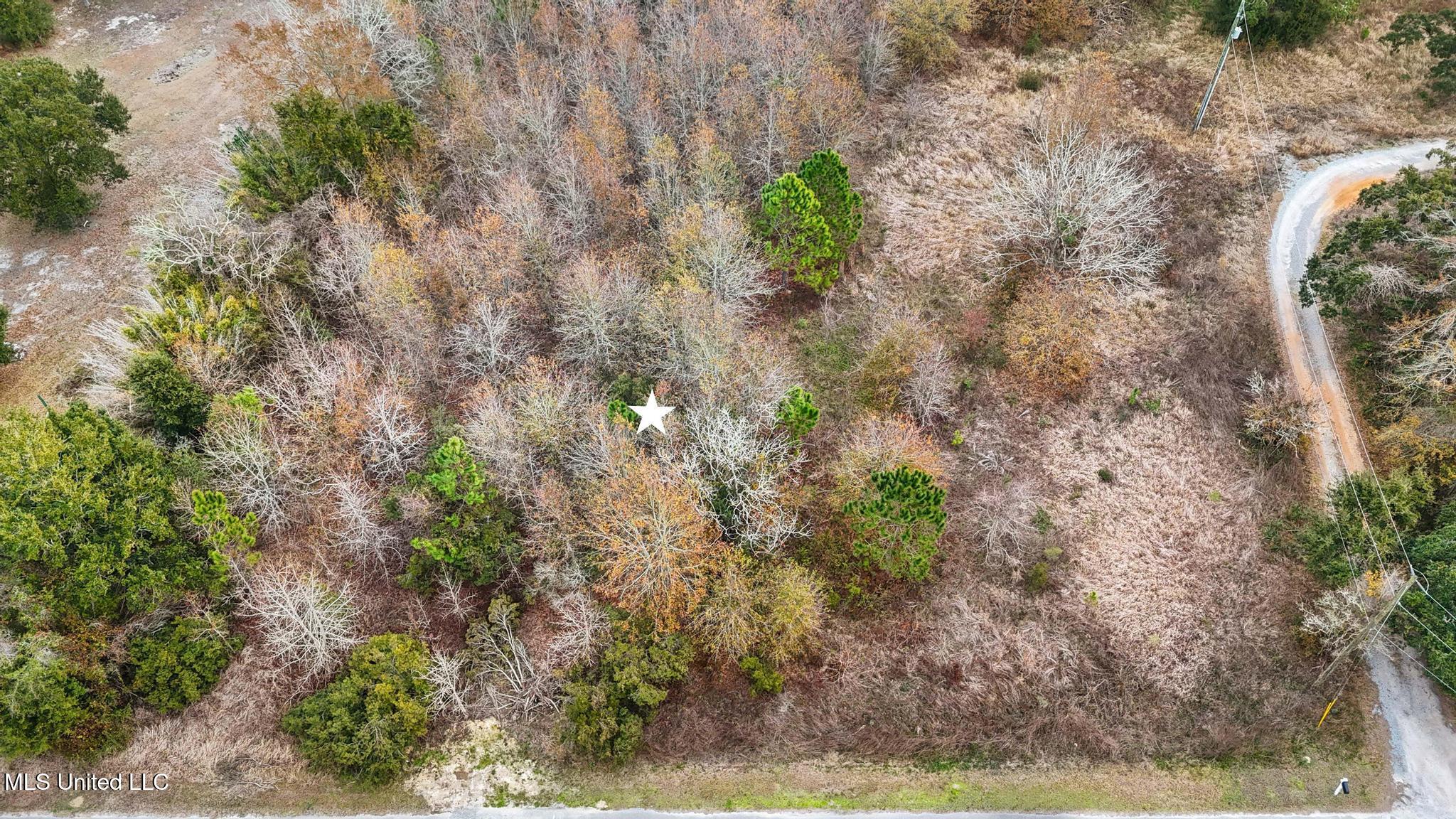 Boisdore Avenue Property Photo 5