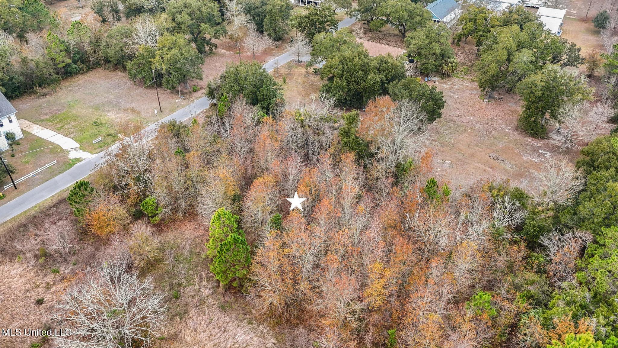 Boisdore Avenue Property Photo 6
