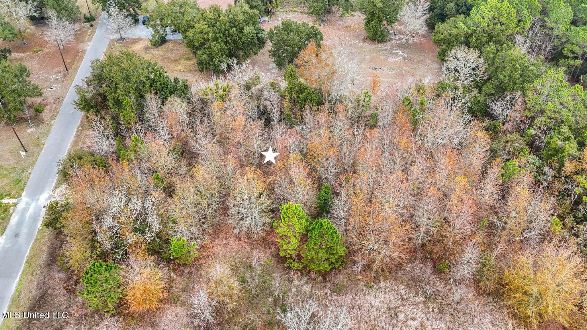 Boisdore Avenue Property Photo 7