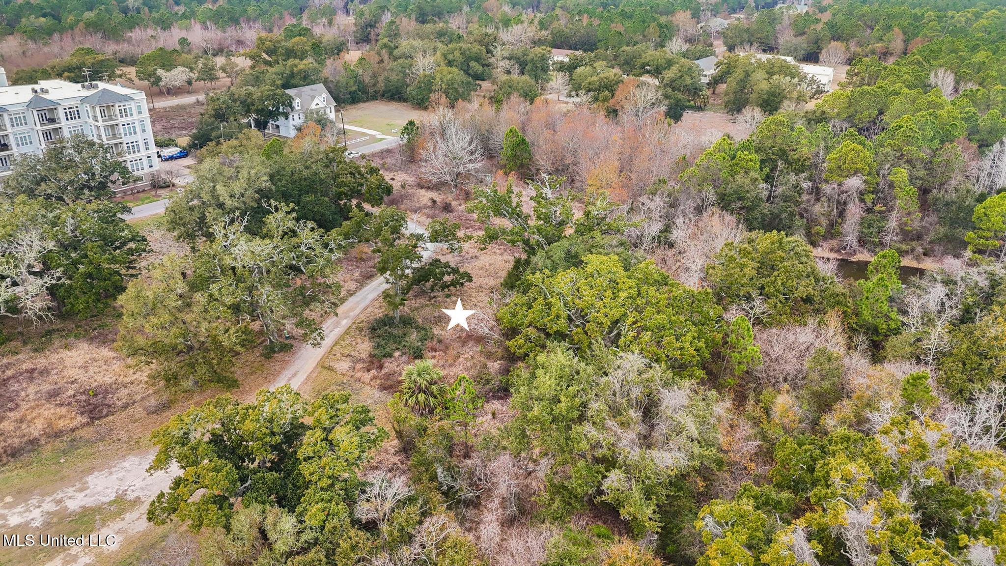 Boisdore Avenue Property Photo 5