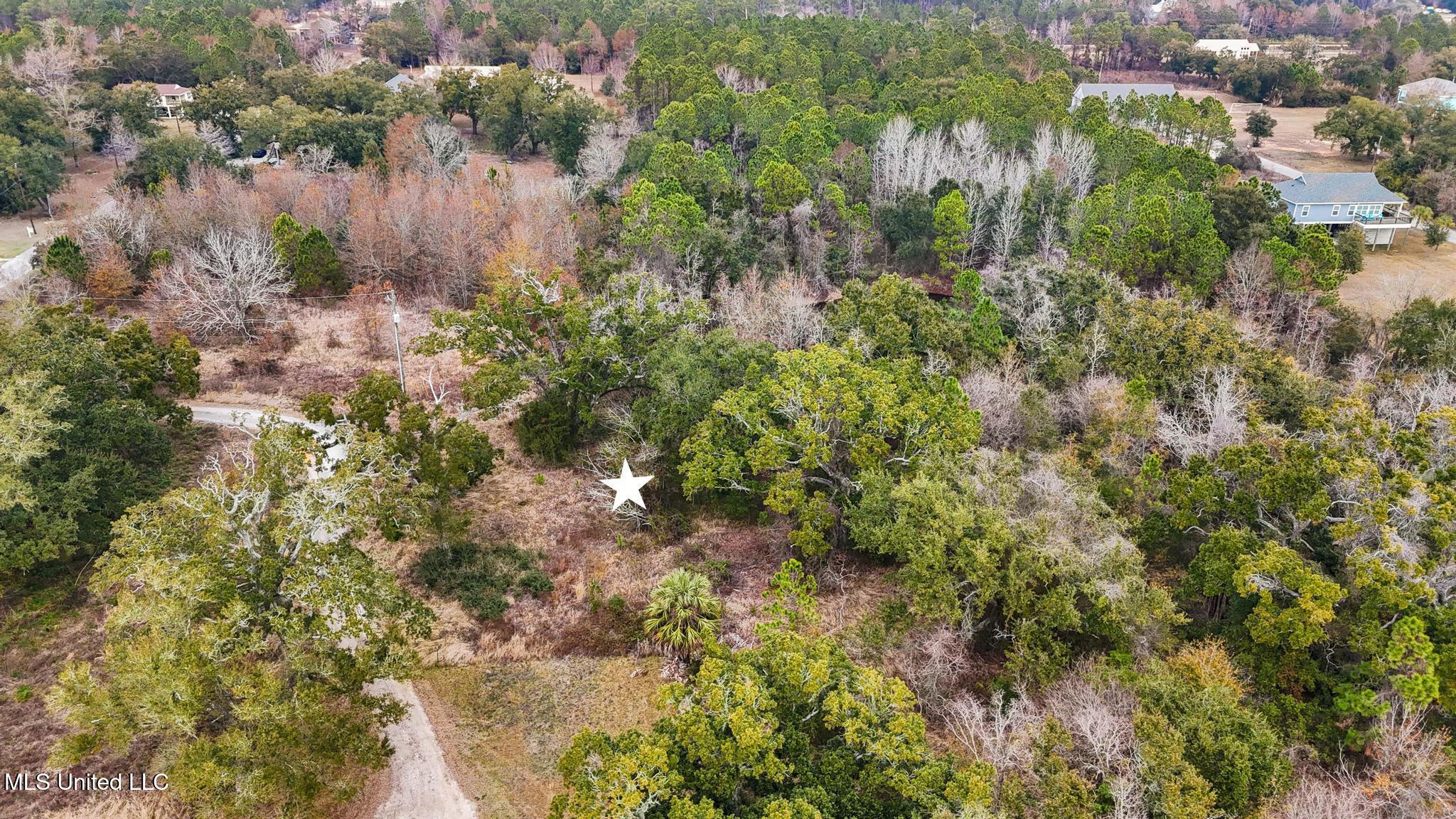 Boisdore Avenue Property Photo 6