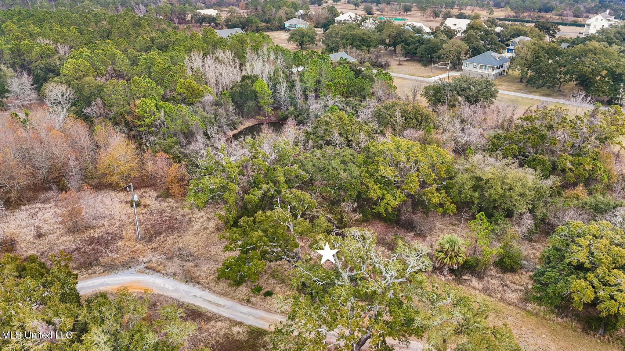 Boisdore Avenue Property Photo 7