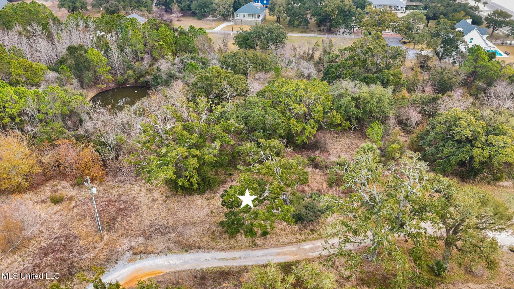 Boisdore Avenue Property Photo 8