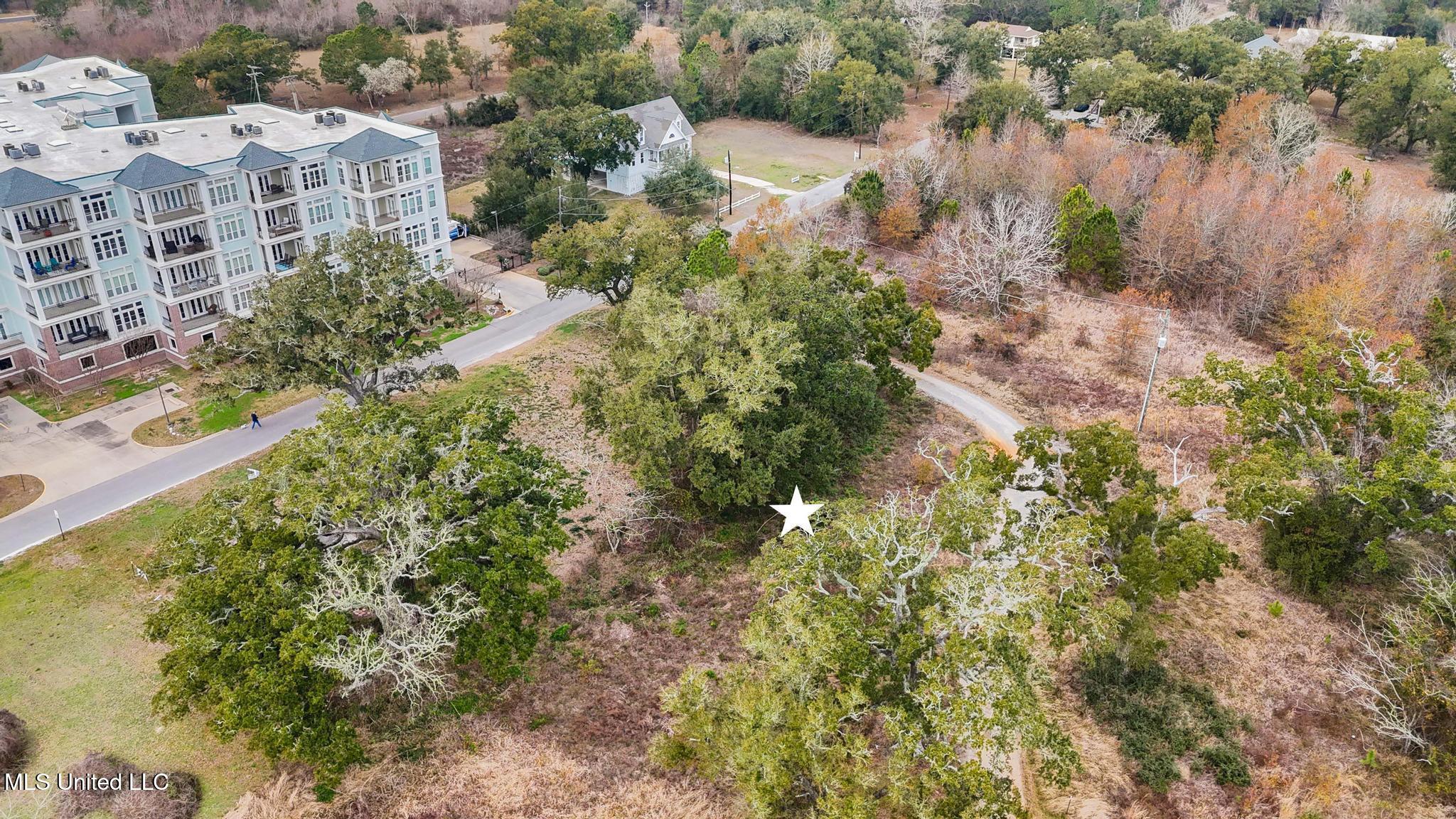 Boisdore Avenue Property Photo 5