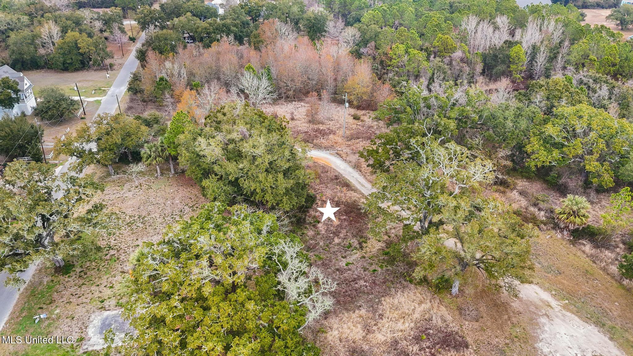 Boisdore Avenue Property Photo 6