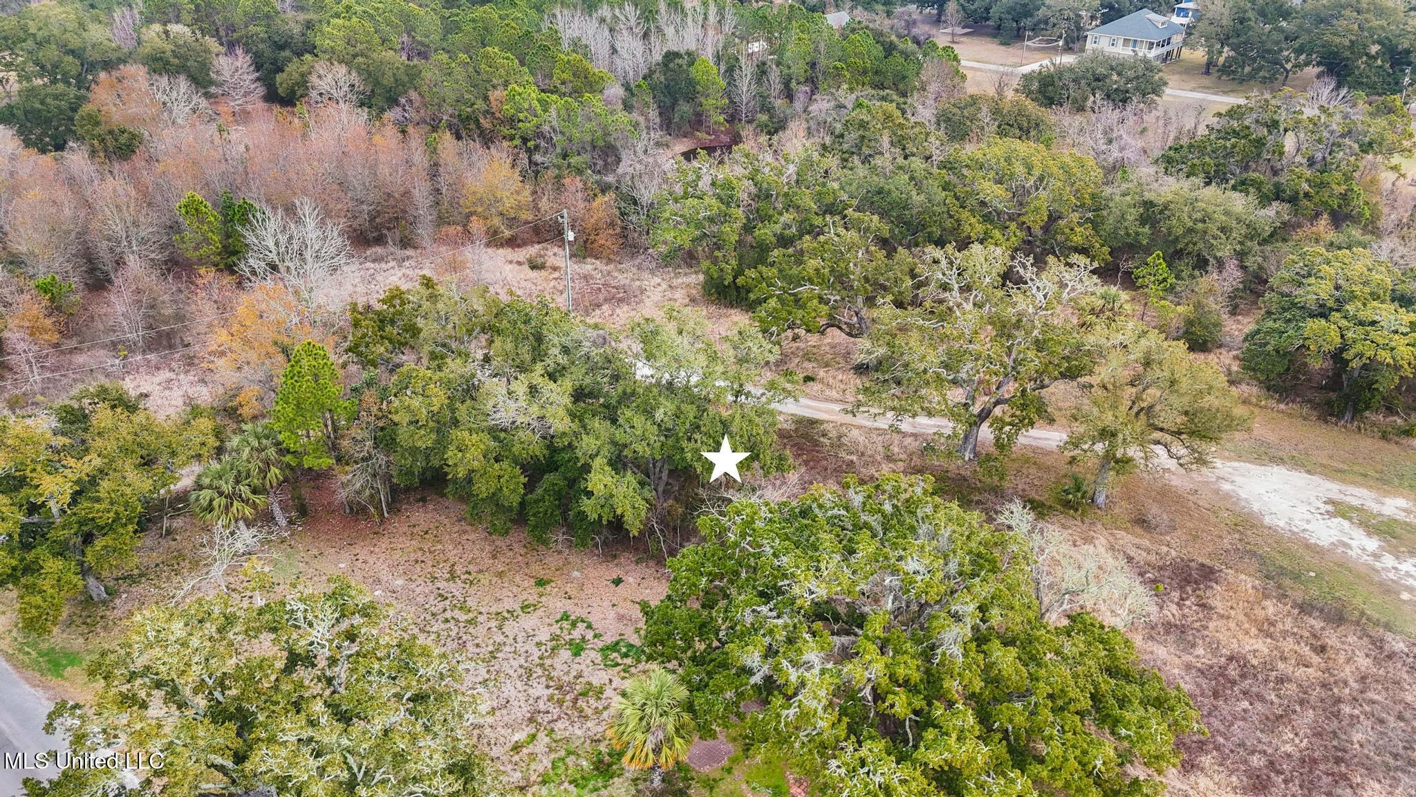Boisdore Avenue Property Photo 7