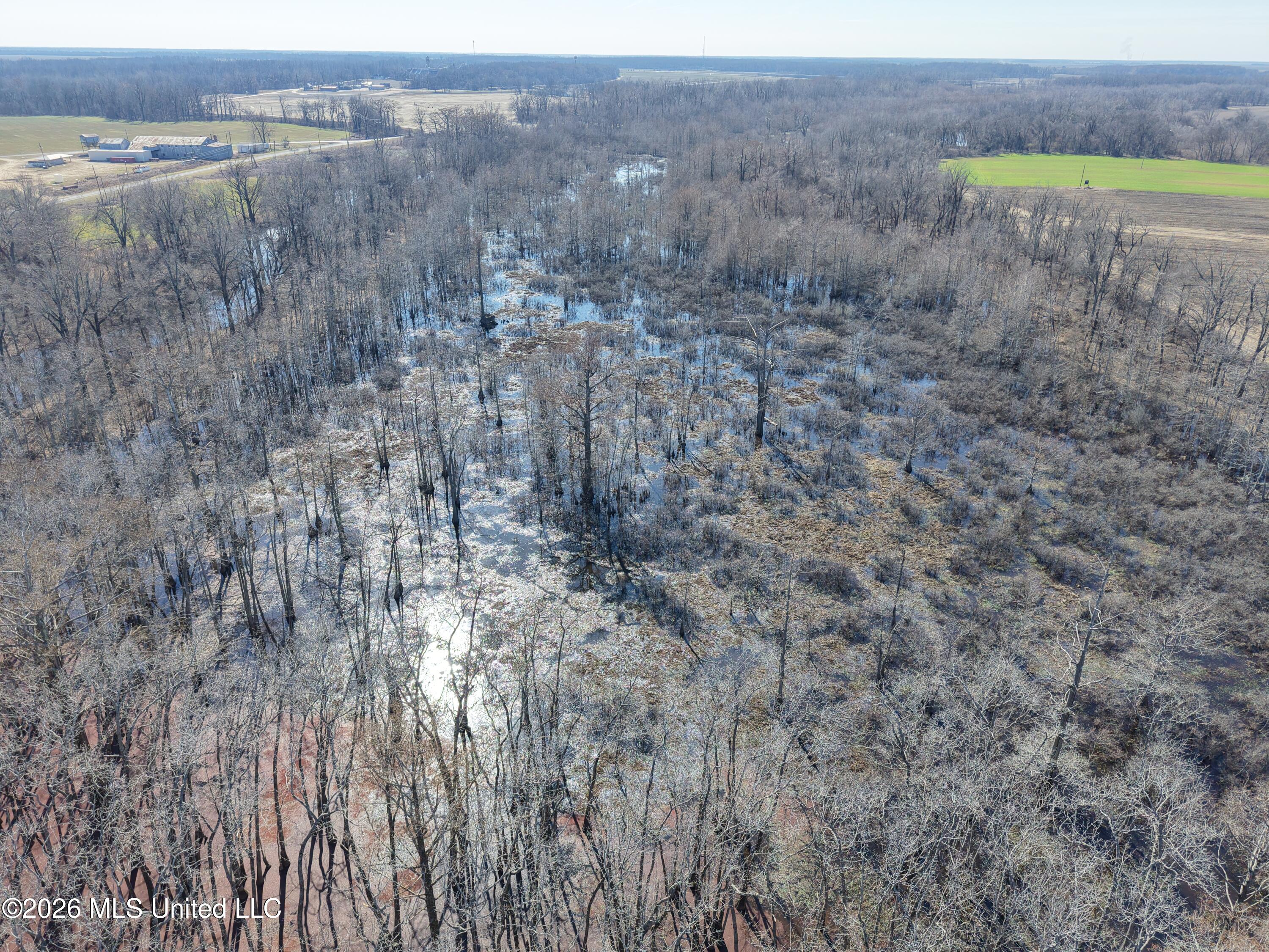 County Road 526 Property Photo 3