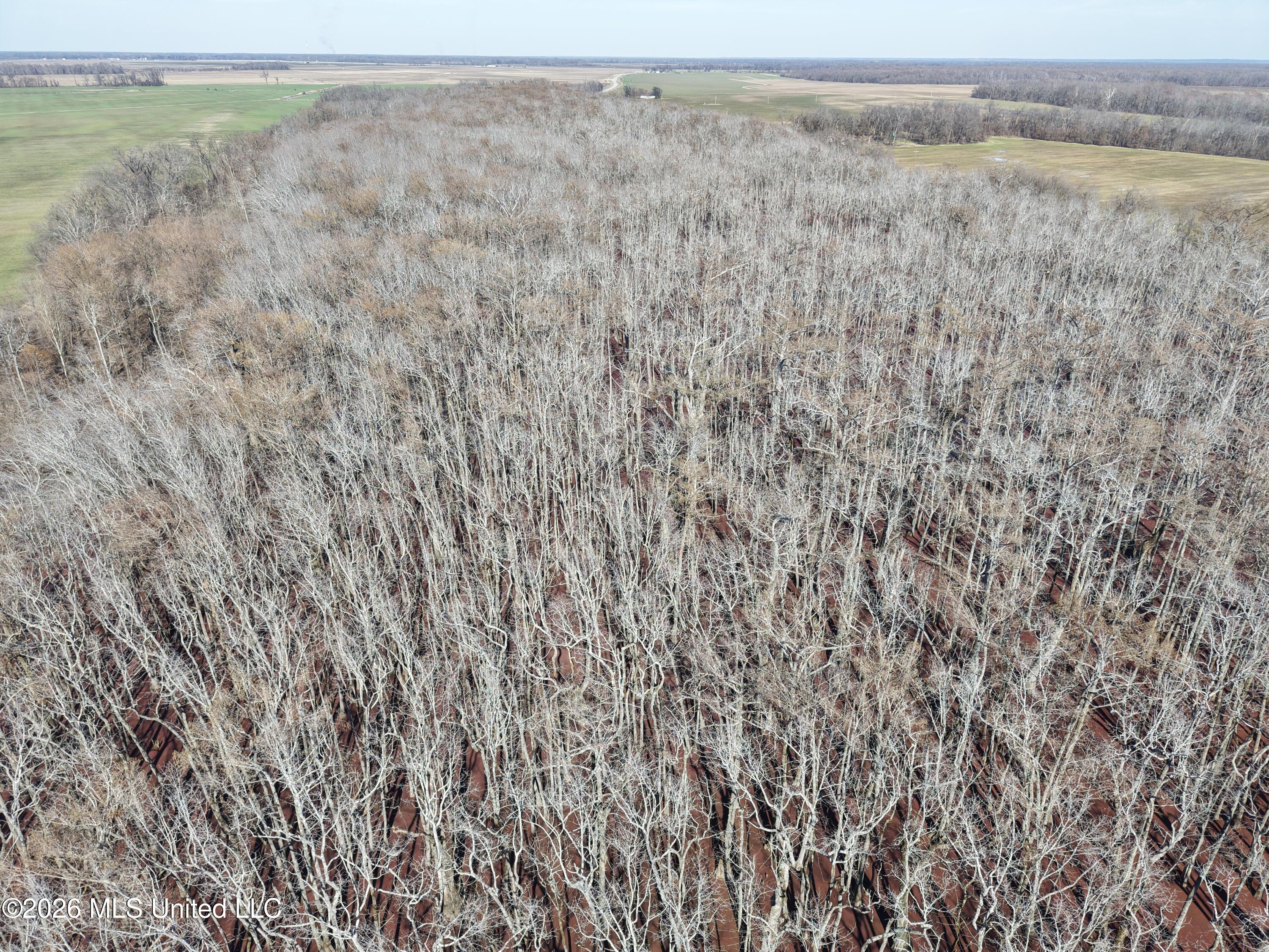 County Road 526 Property Photo 4