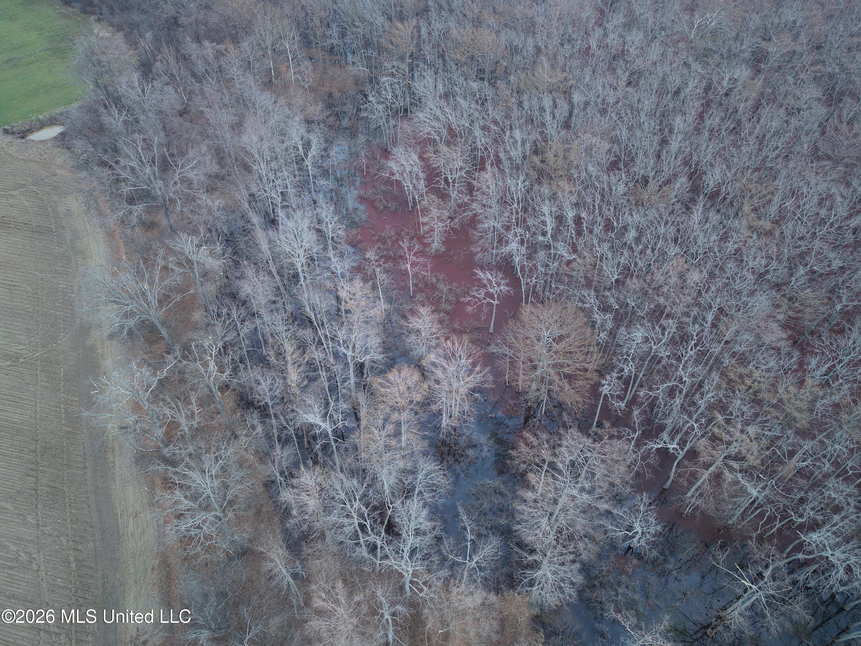 County Road 526 Property Photo 6