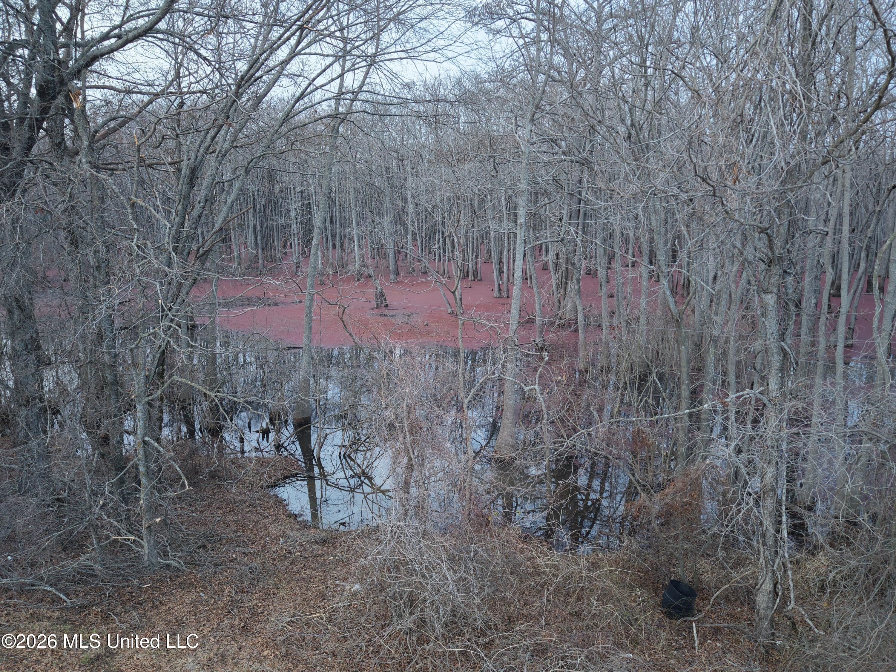 County Road 526 Property Photo 13
