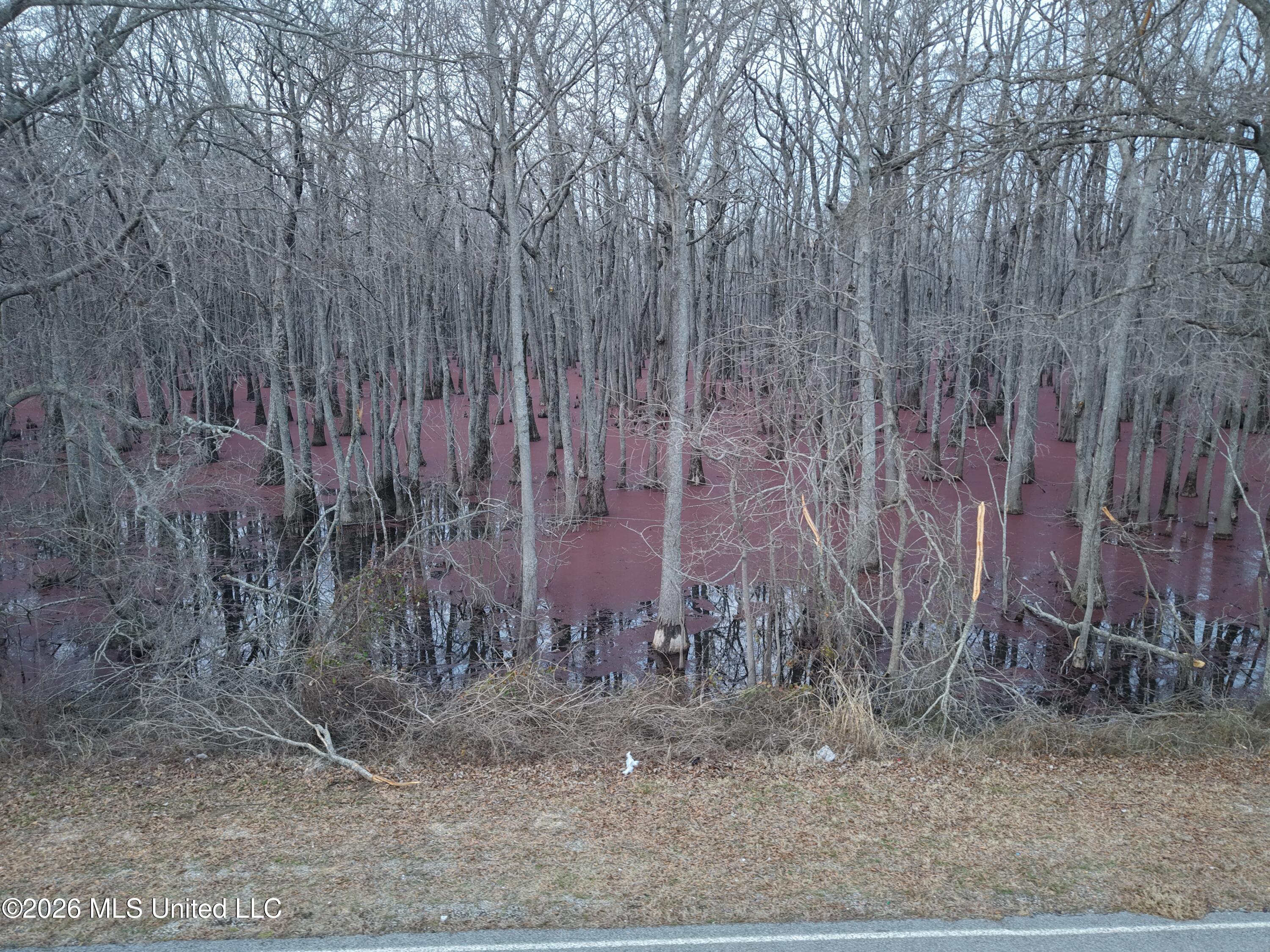 County Road 526 Property Photo 14