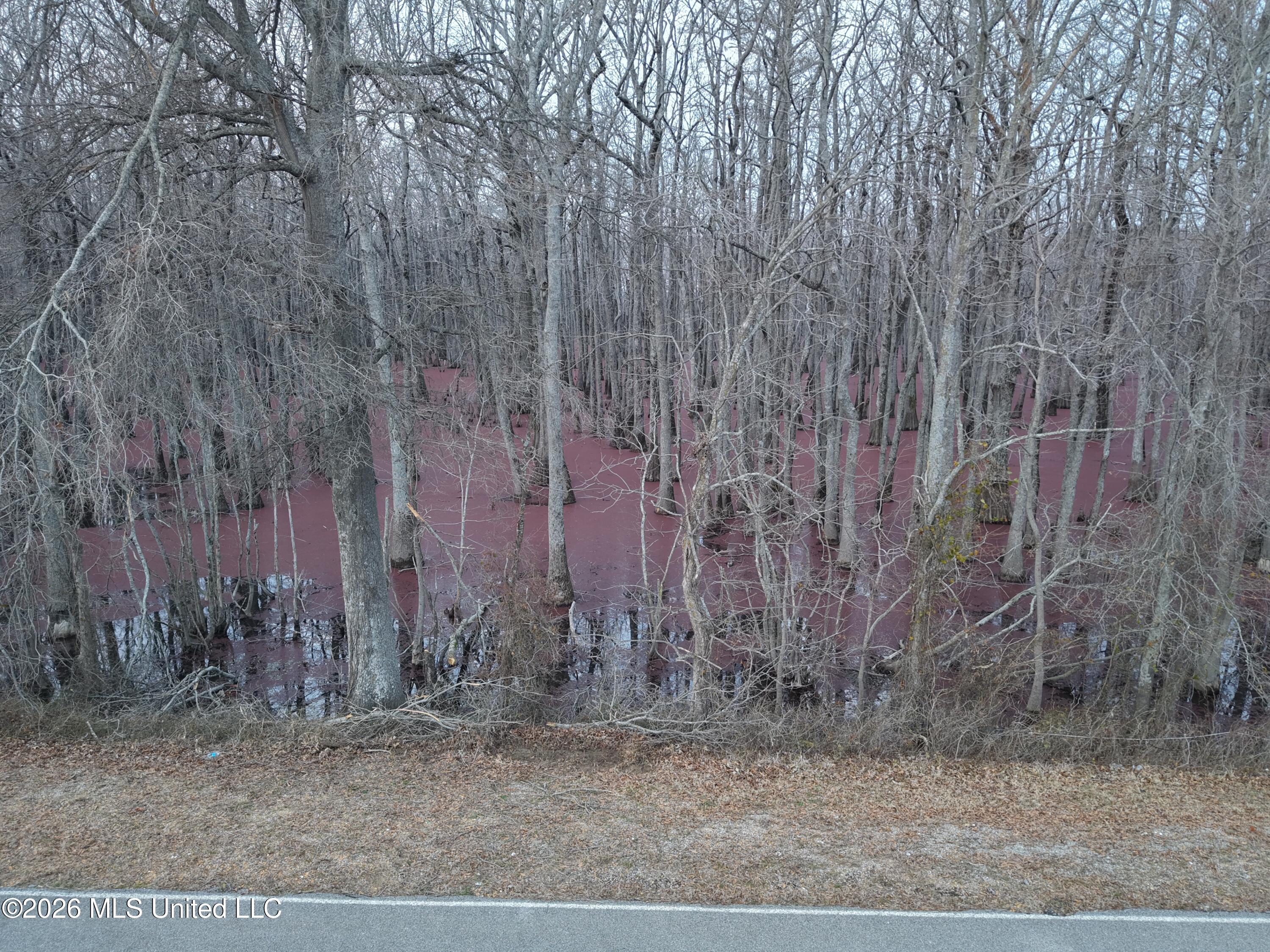 County Road 526 Property Photo 15