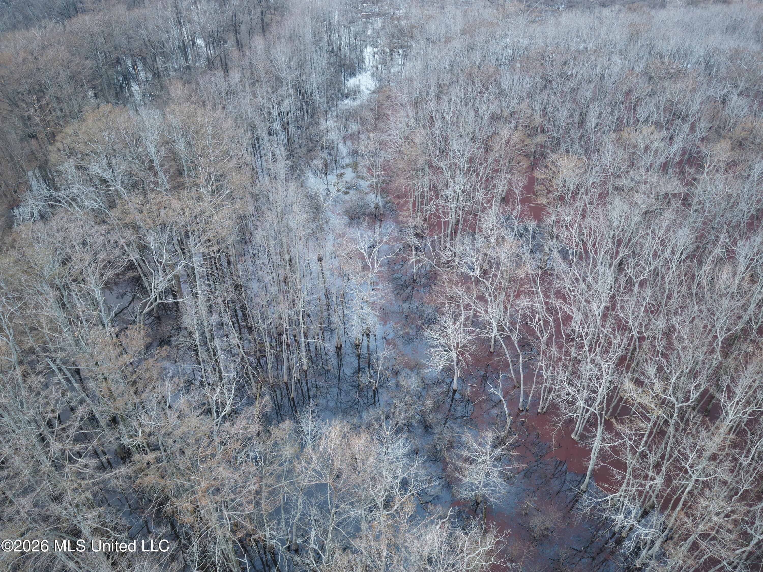 County Road 526 Property Photo 17