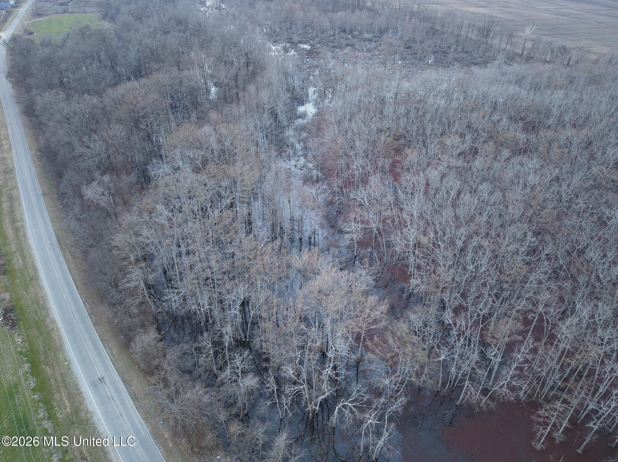 County Road 526 Property Photo 21