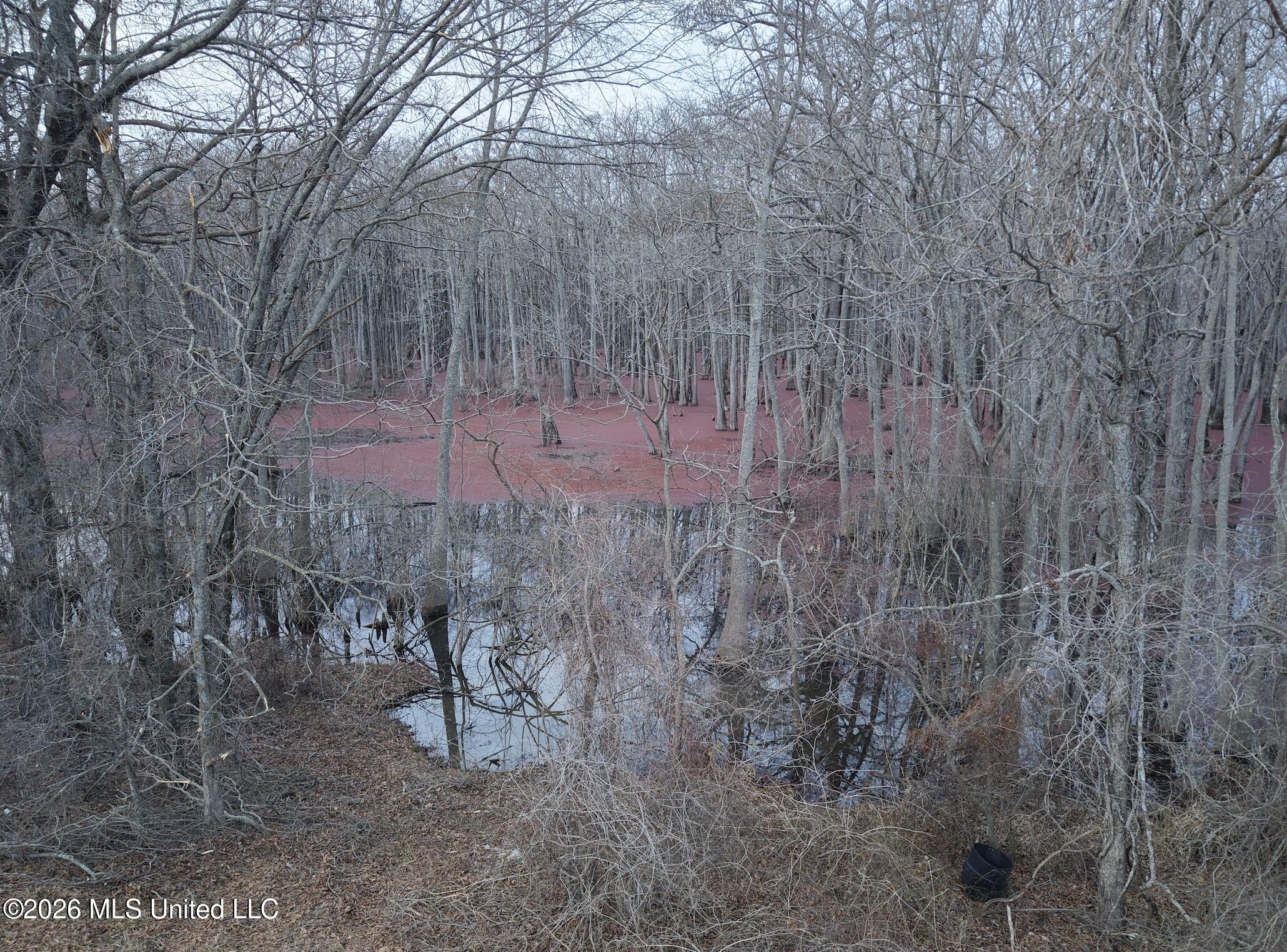 County Road 526 Property Photo 29