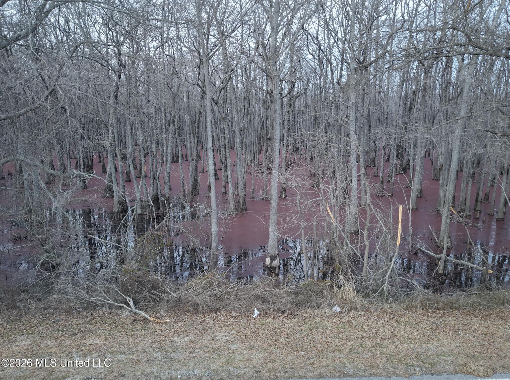 County Road 526 Property Photo 30