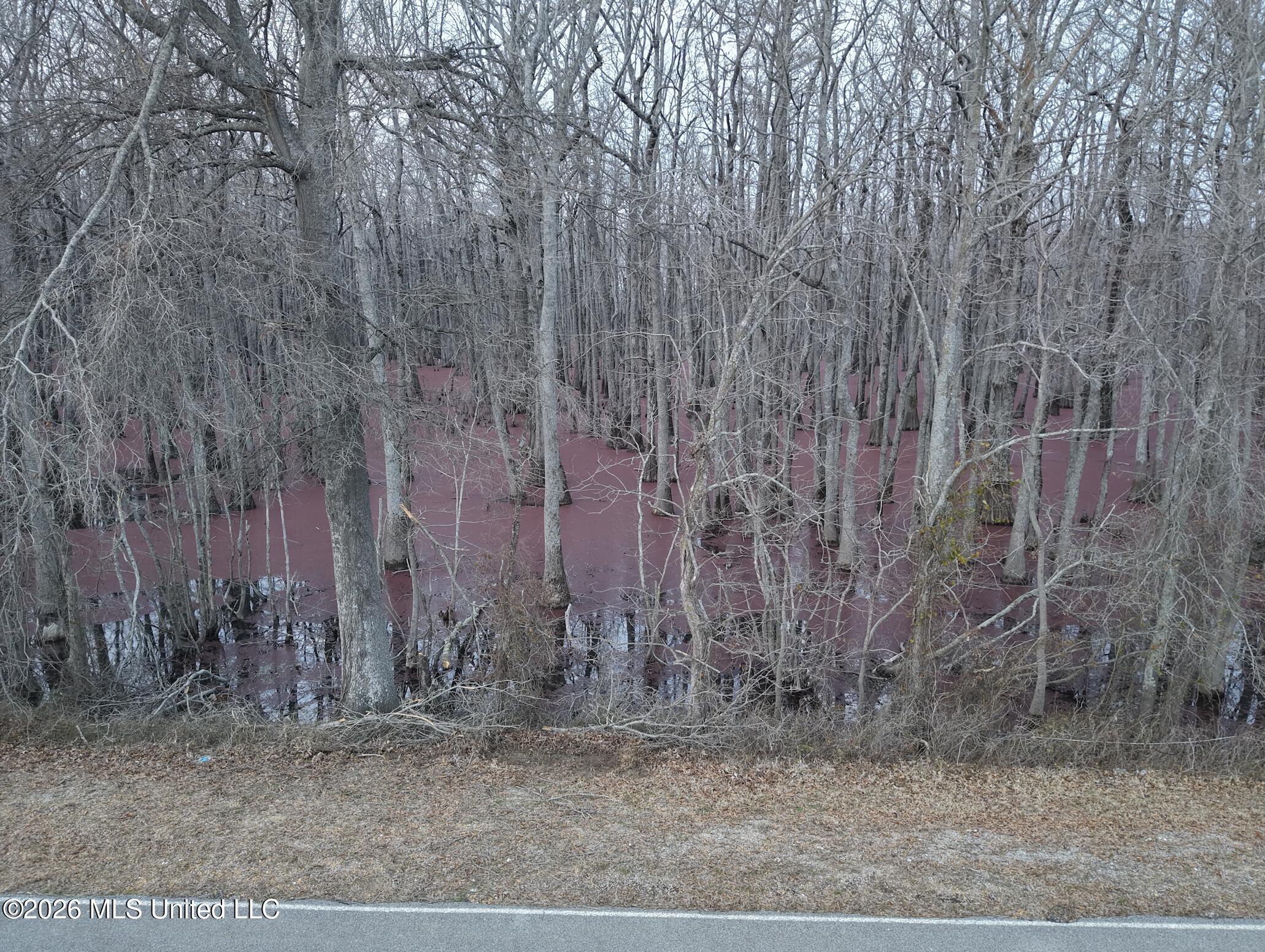 County Road 526 Property Photo 31