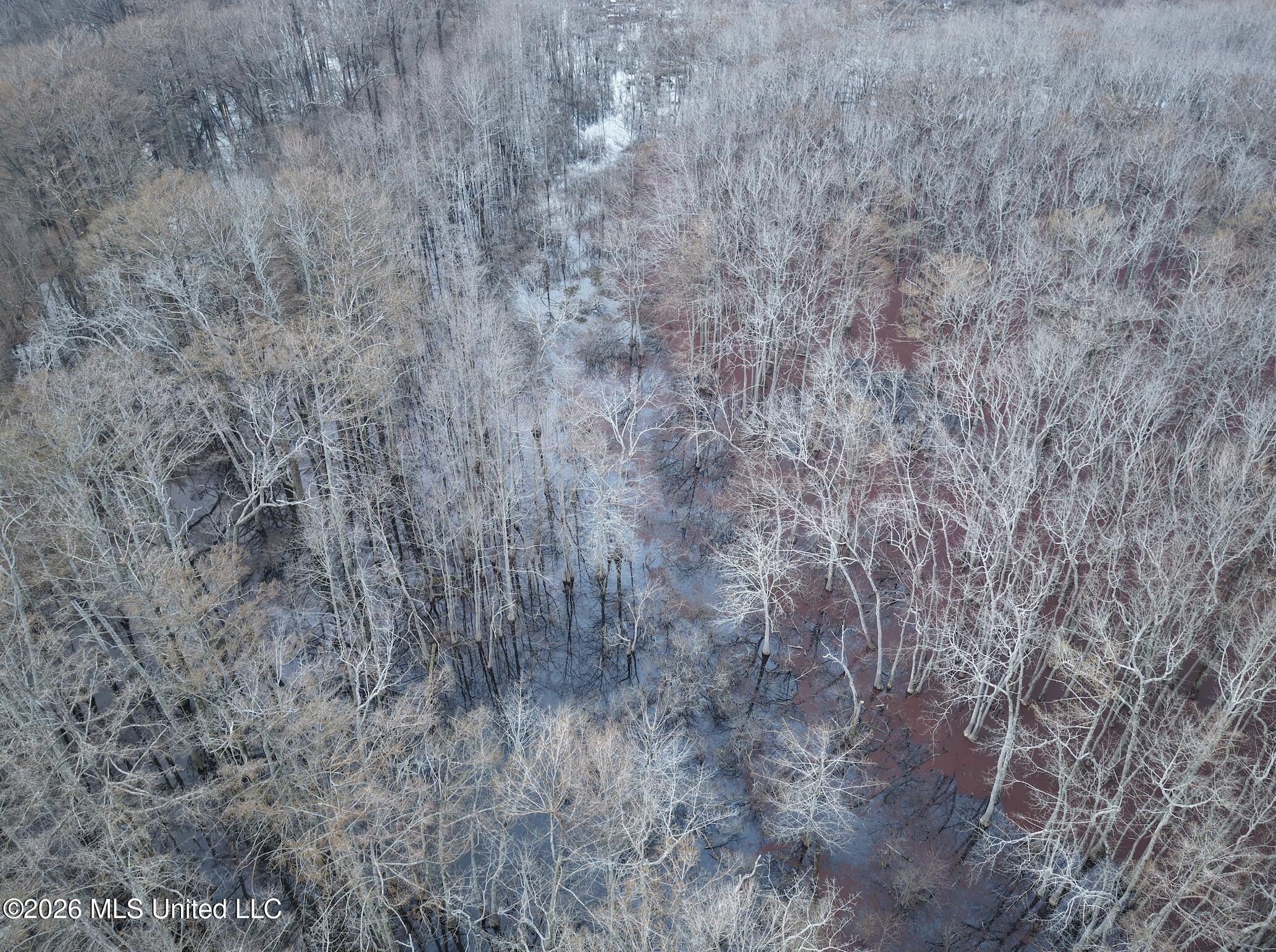 County Road 526 Property Photo 33