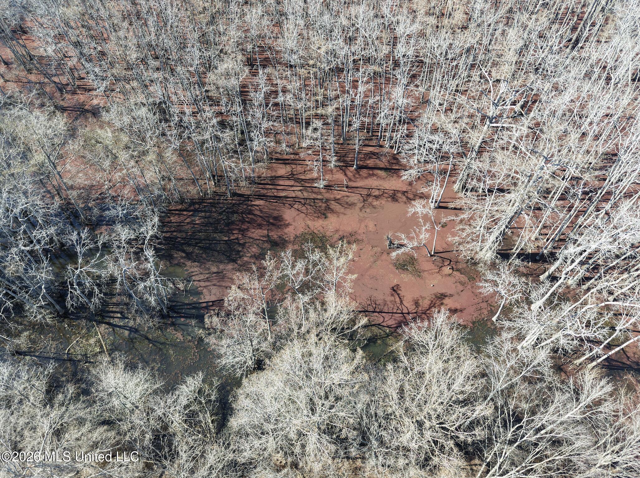 County Road 526 Property Photo 41