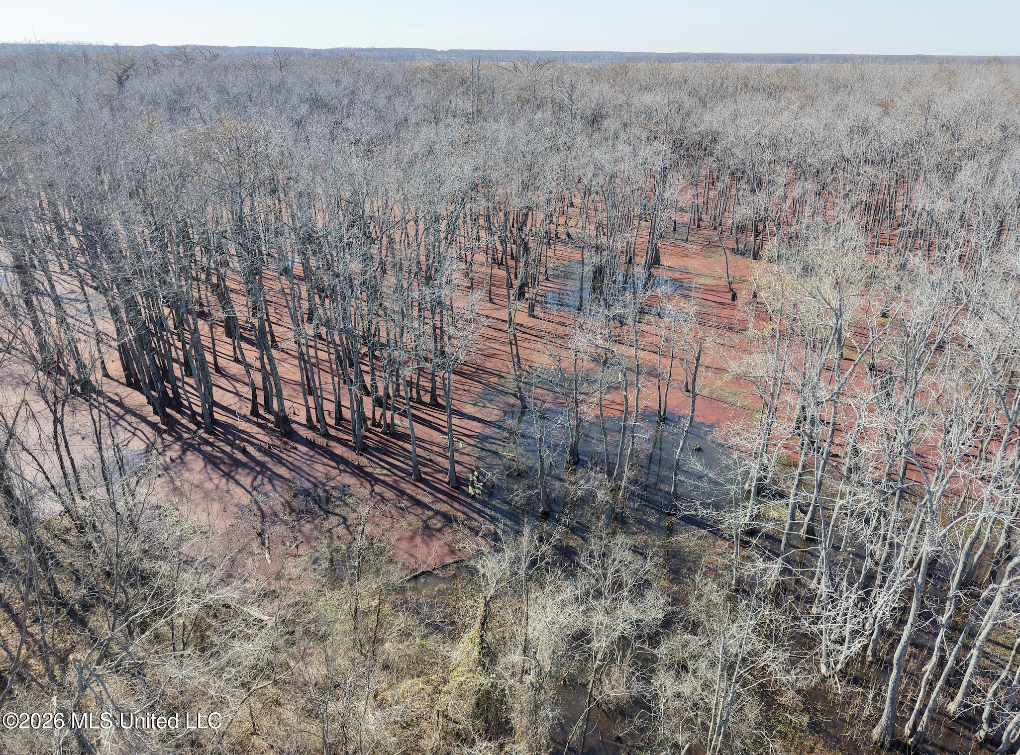 County Road 526 Property Photo 42
