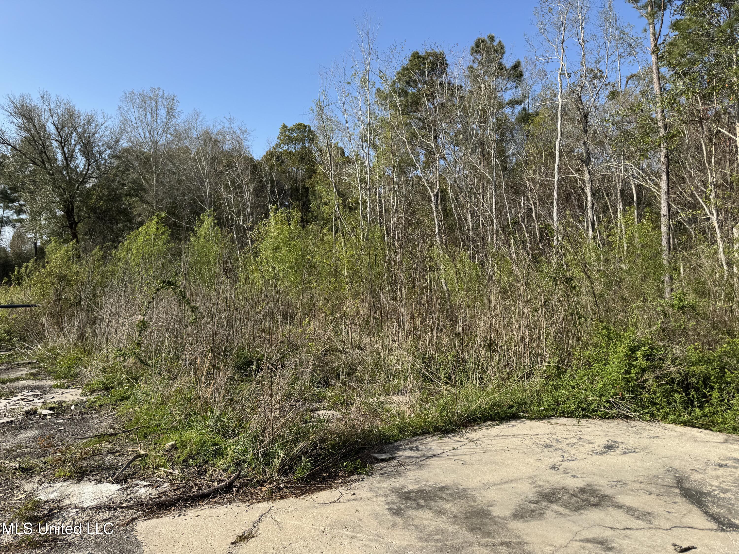 196 Vacation Lane Property Photo 8