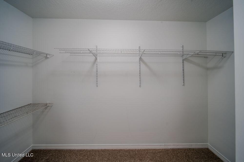 11537 Azalea Trace Property Photo 26