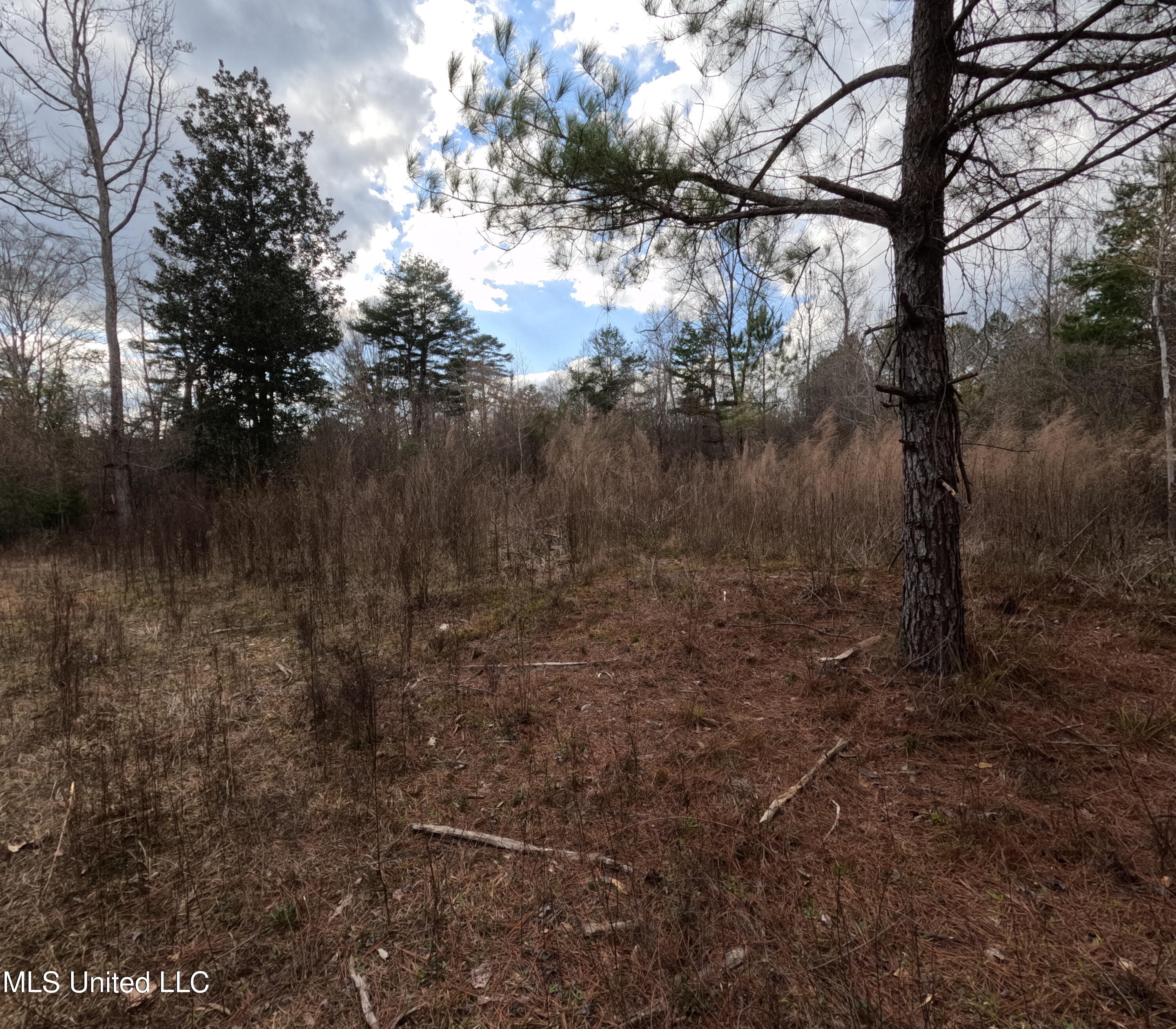 Saint John Road Road Property Photo 2