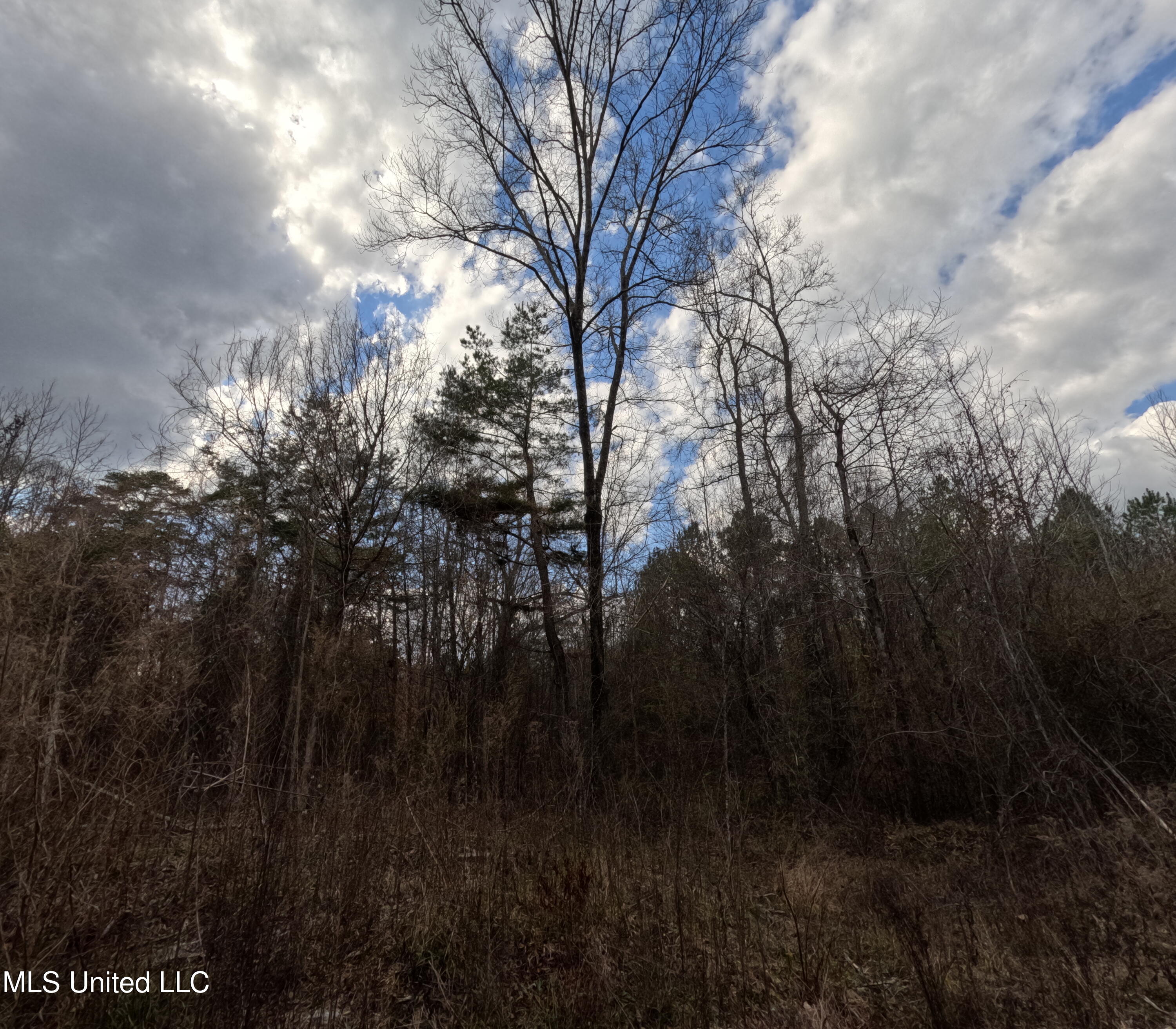 Saint John Road Road Property Photo 7