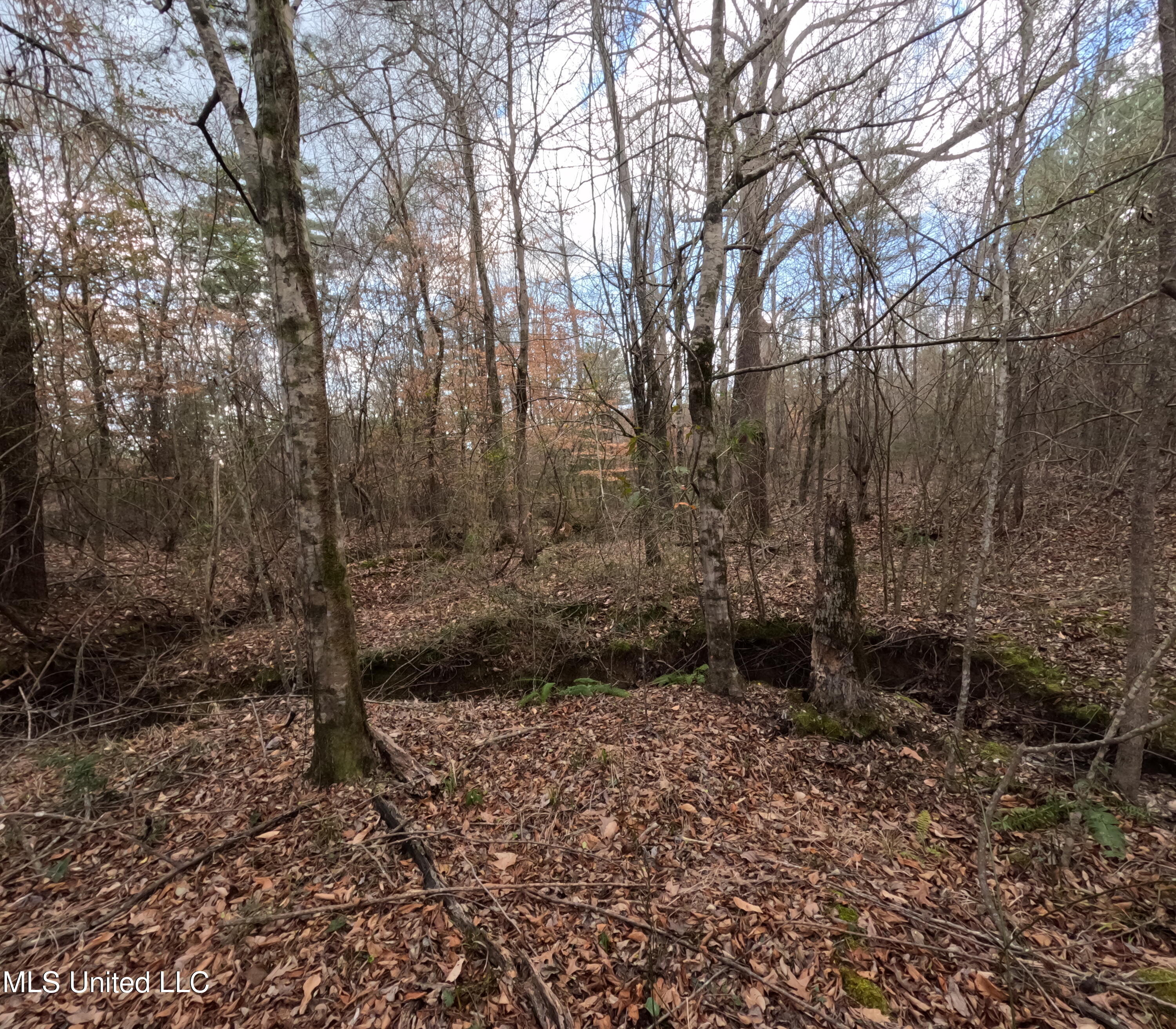 Saint John Road Road Property Photo 8