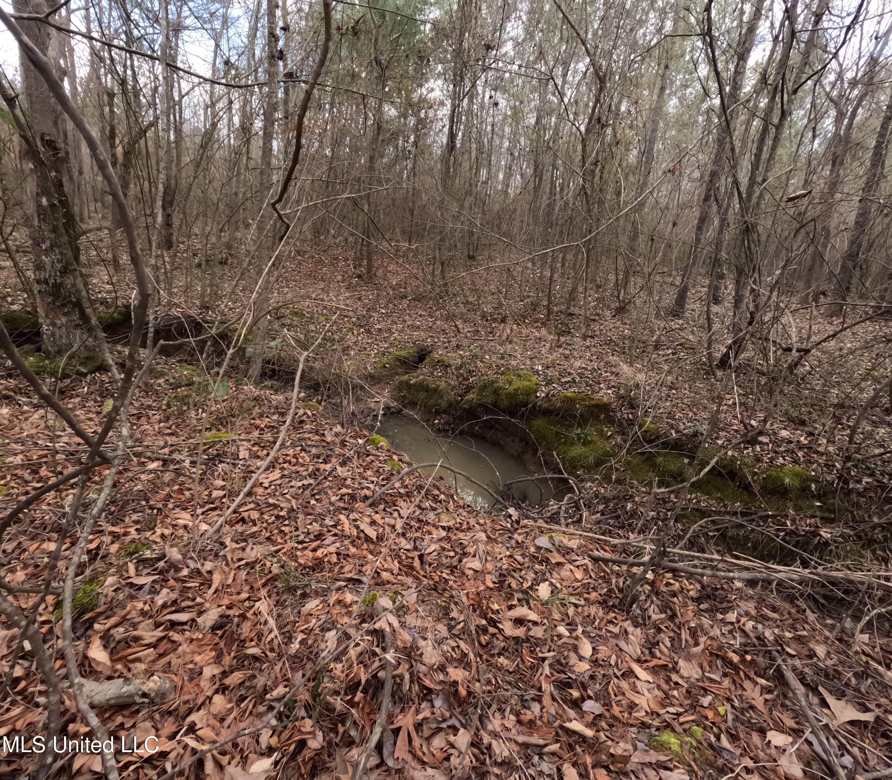 Saint John Road Road Property Photo 9