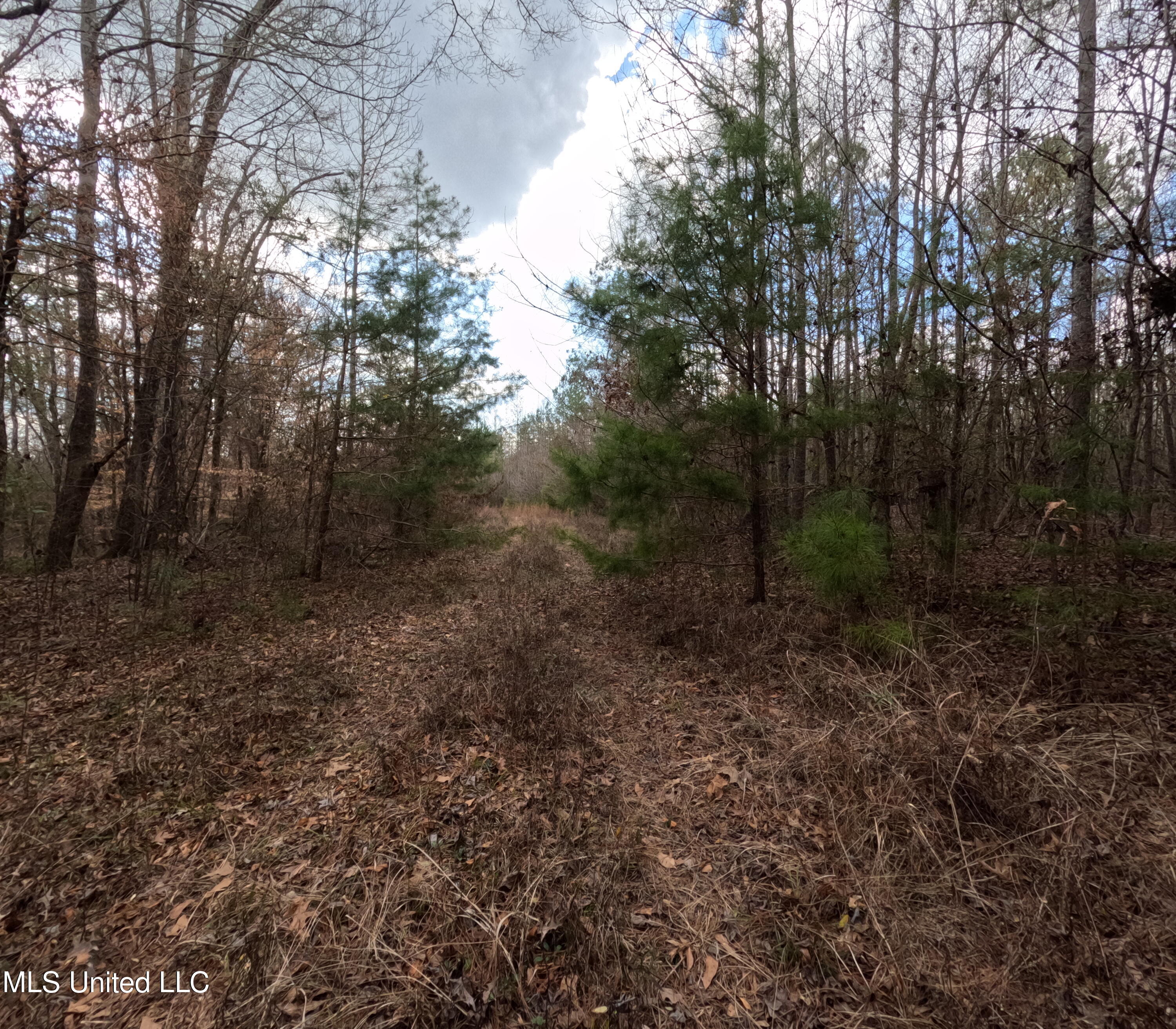 Saint John Road Road Property Photo 11