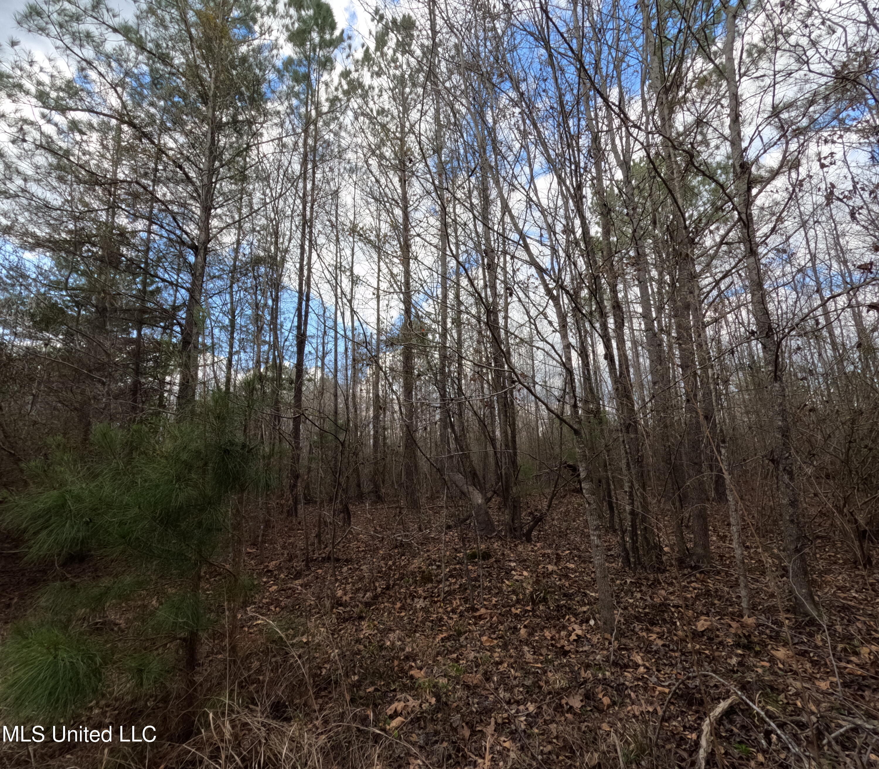 Saint John Road Road Property Photo 12