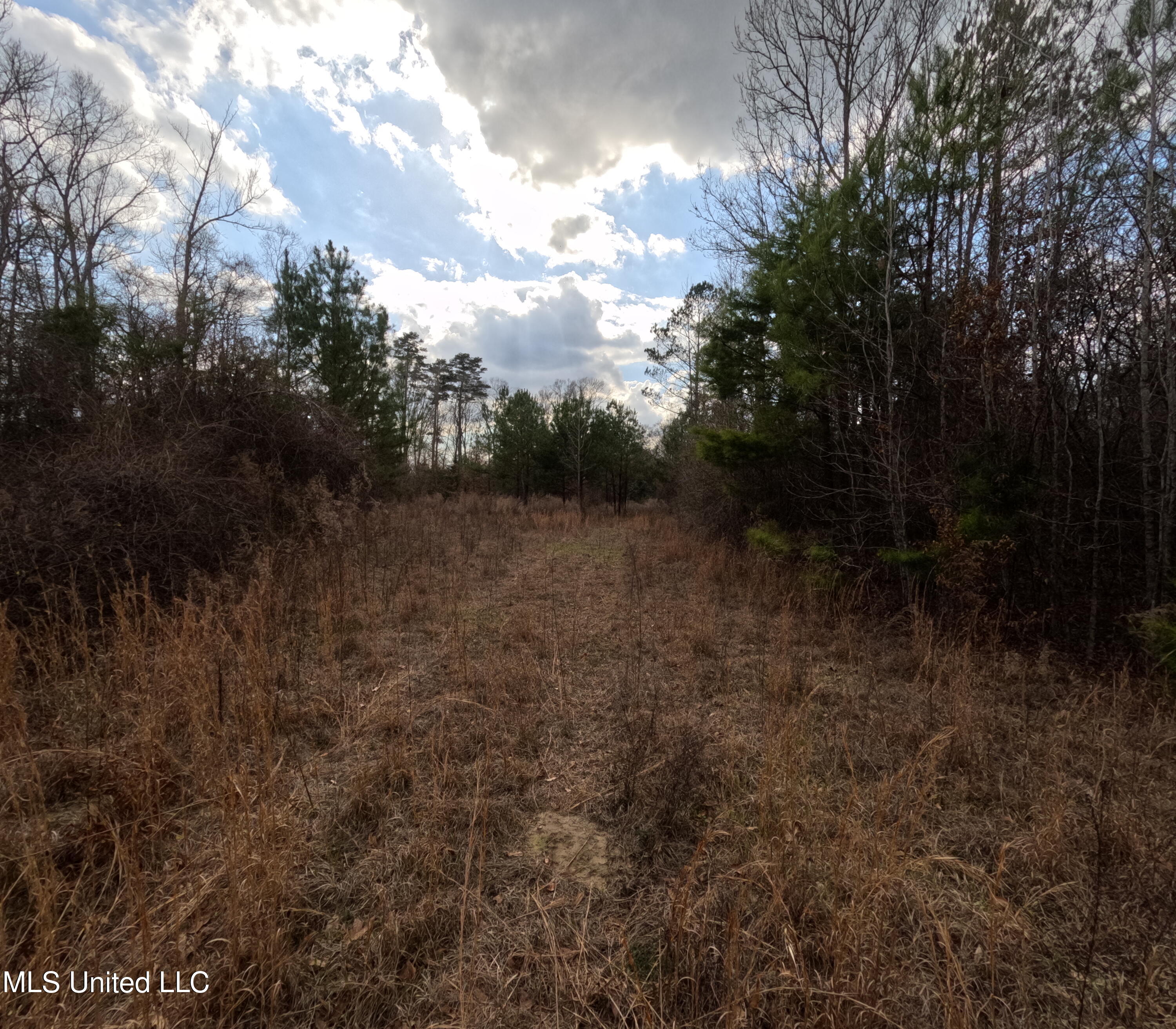 Saint John Road Road Property Photo 14