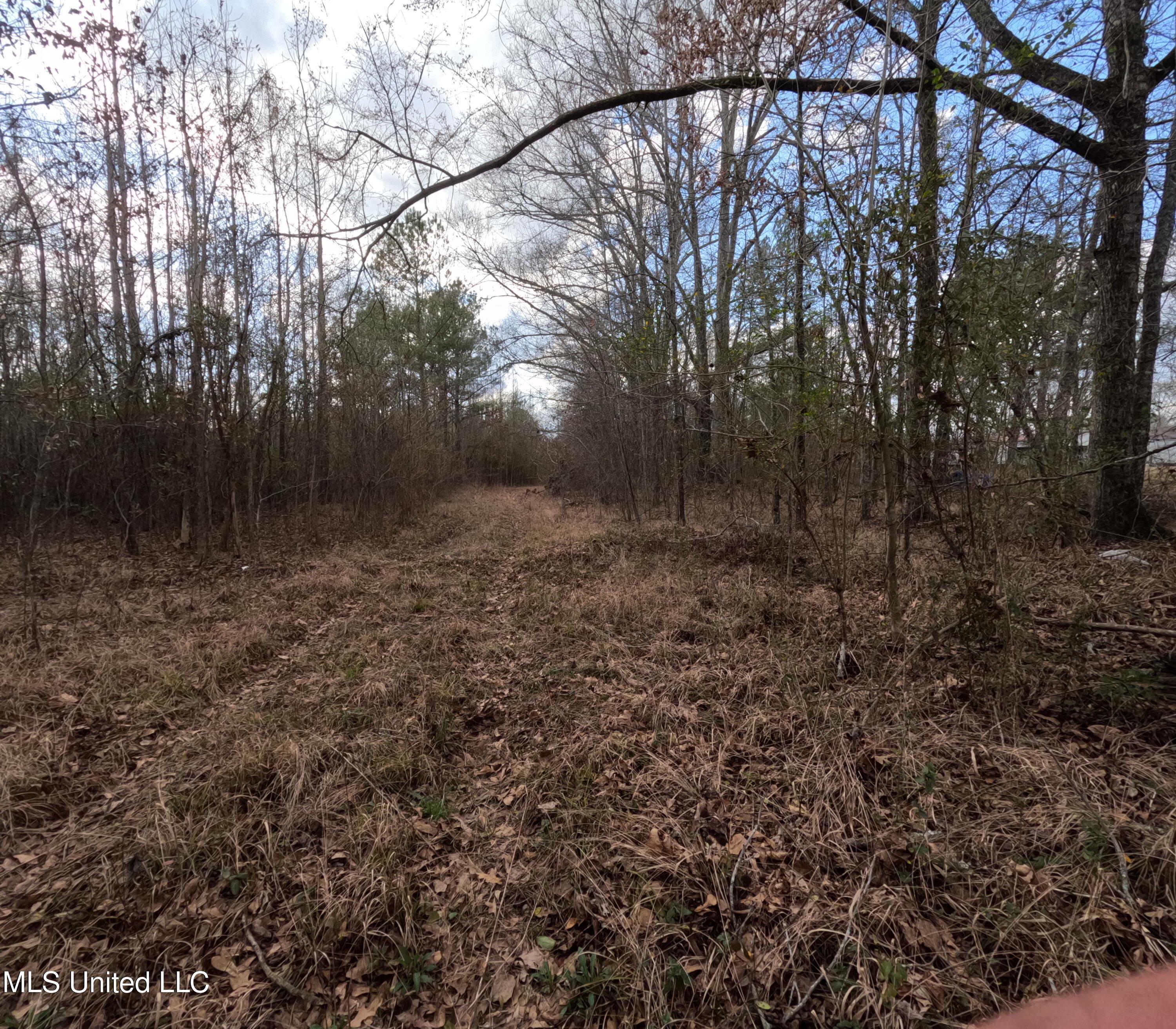 Saint John Road Road Property Photo 18