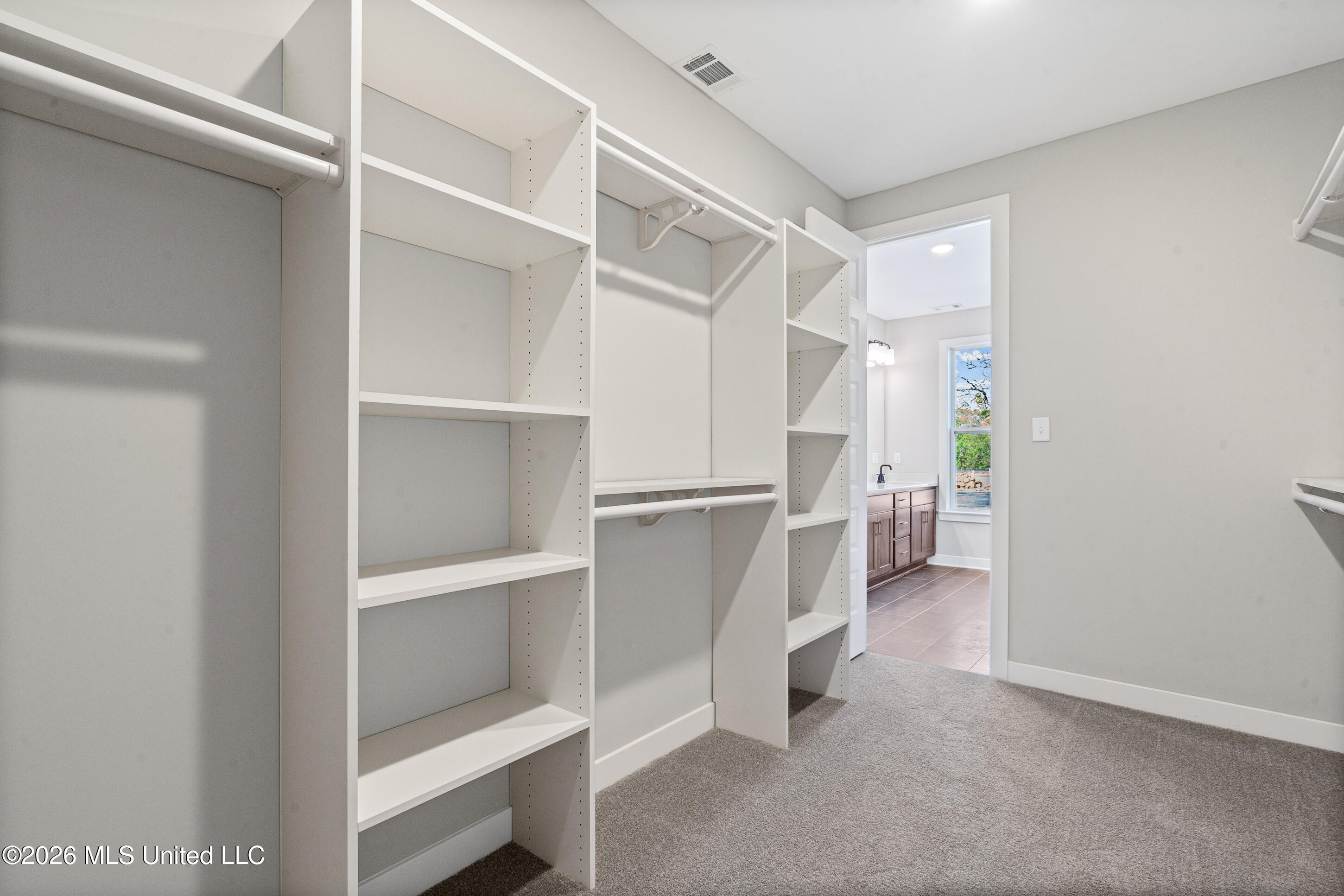 9107 Apple Orchard Cove Property Photo 23