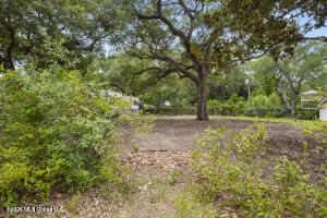 0 Camelia Property Photo 2