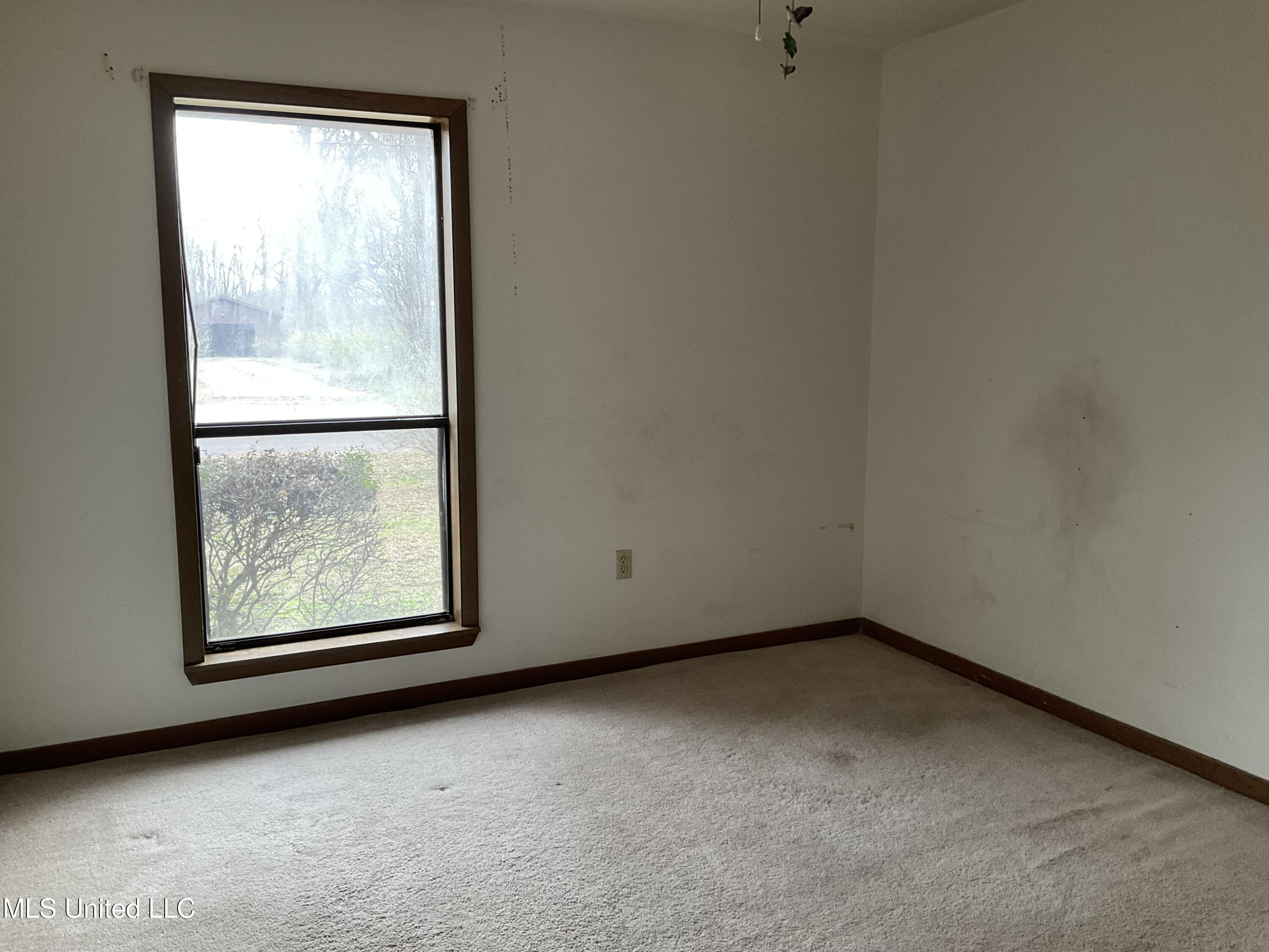 332 Brad Street Property Photo 8