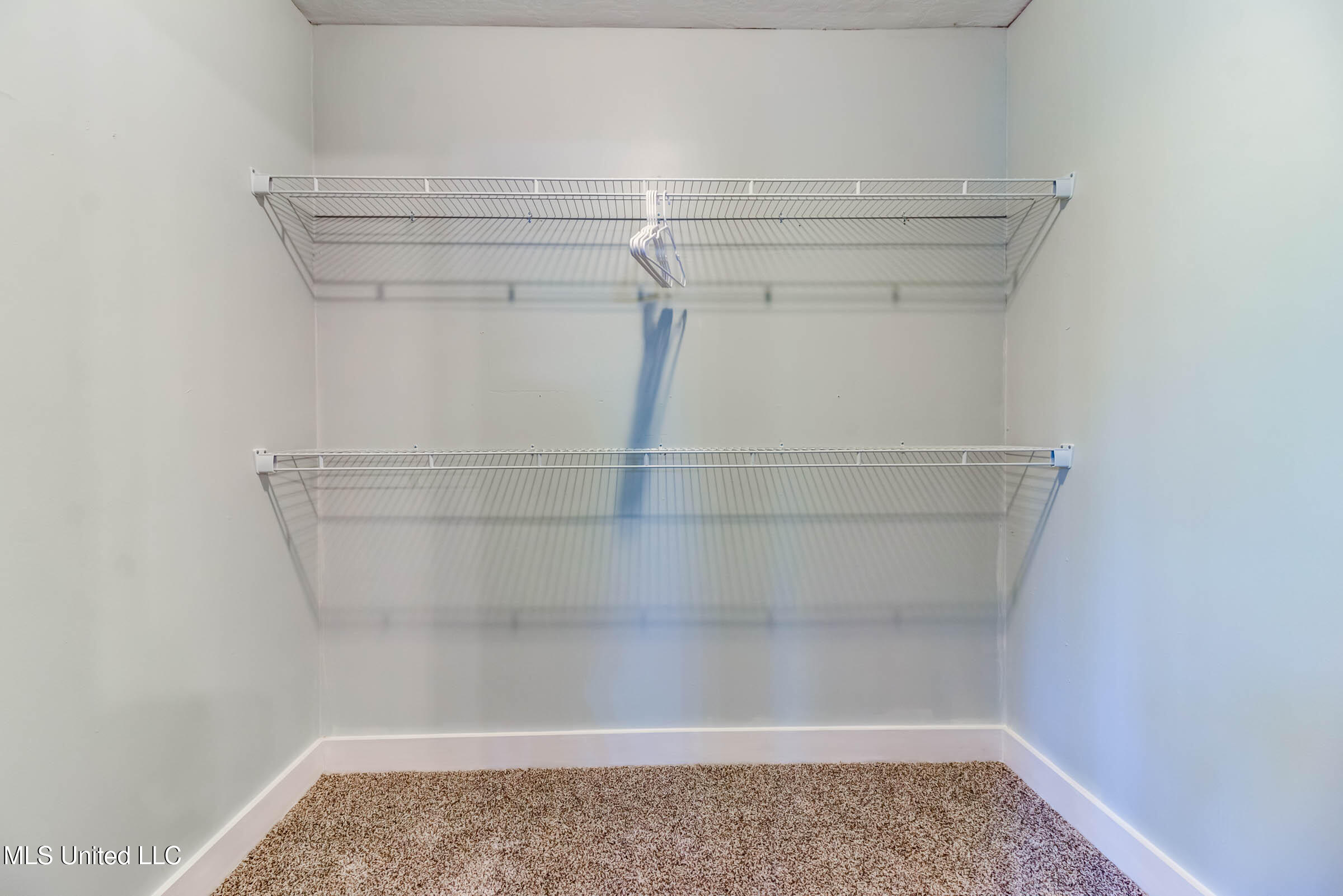 12522 Wolf River Road Property Photo 34